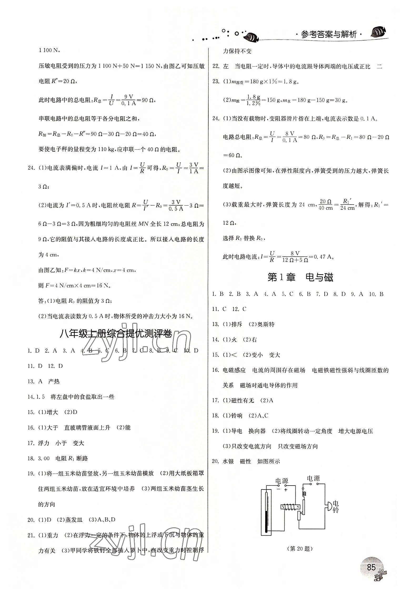 2022年實(shí)驗(yàn)班提優(yōu)訓(xùn)練暑假銜接版八年級科學(xué)浙教版 第3頁