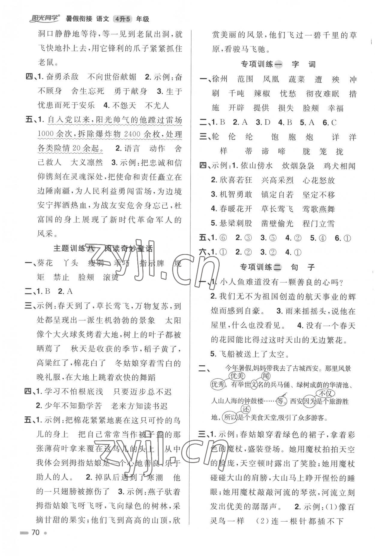 2022年陽光同學(xué)暑假銜接語文4升5年級 參考答案第3頁