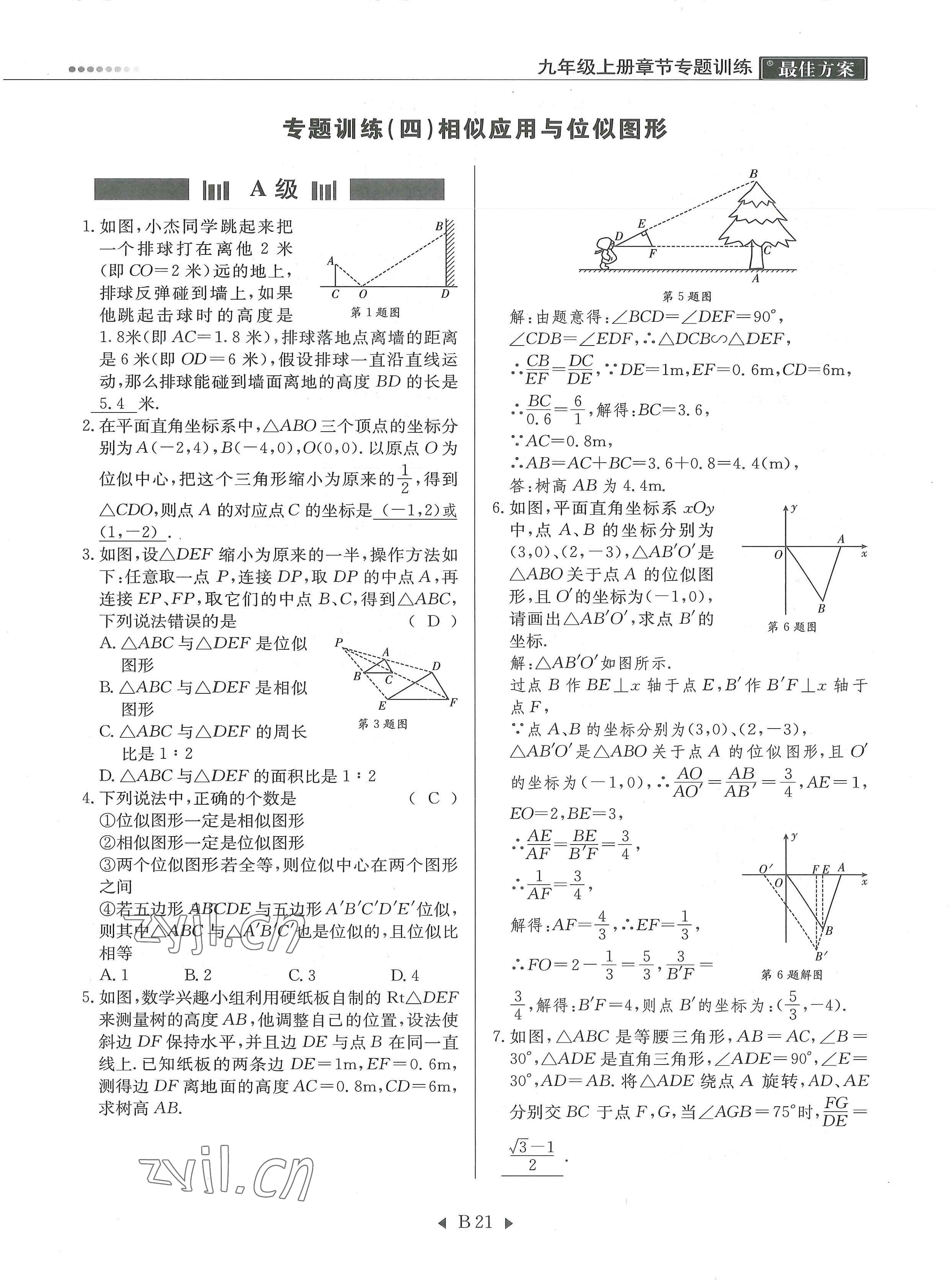 2022年每周最佳方案九年級數(shù)學全一冊北師大版 參考答案第44頁