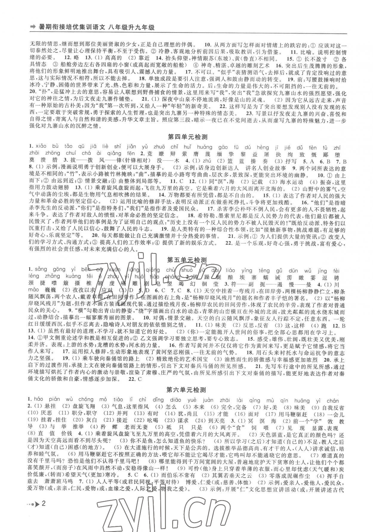 2022年暑期衔接培优集训八年级升九年级语文 第2页