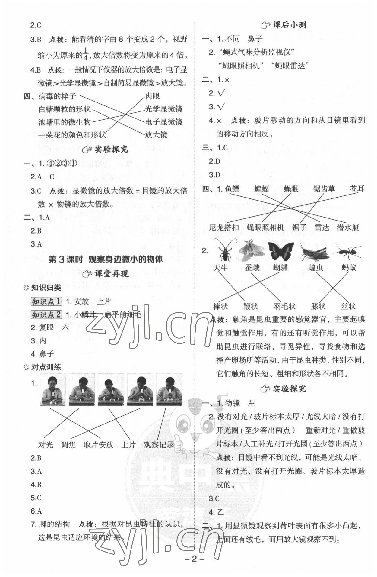 2022年綜合應(yīng)用創(chuàng)新題典中點(diǎn)六年級(jí)科學(xué)上冊教科版浙江專版 參考答案第2頁