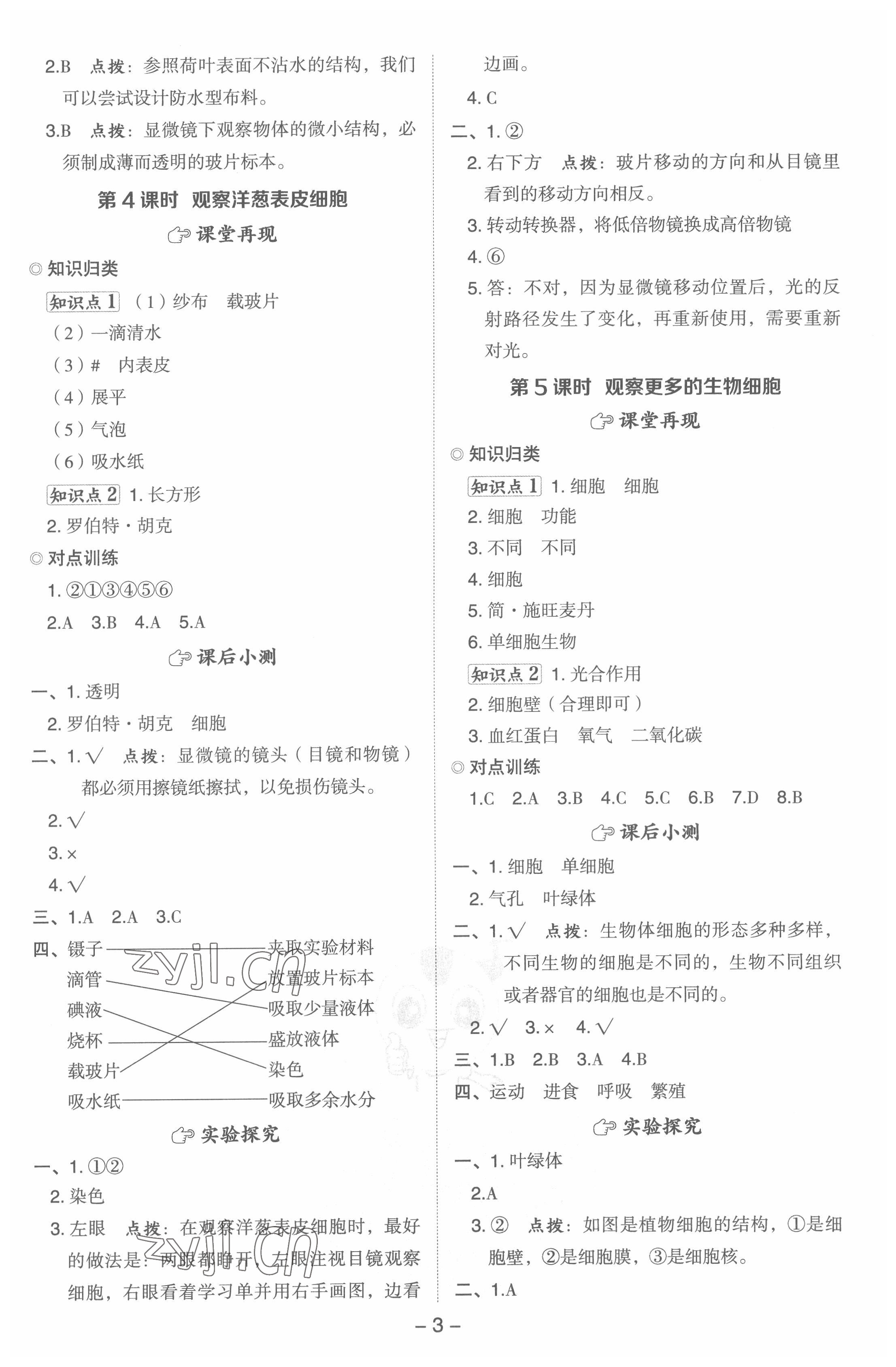 2022年綜合應(yīng)用創(chuàng)新題典中點六年級科學(xué)上冊教科版浙江專版 參考答案第3頁