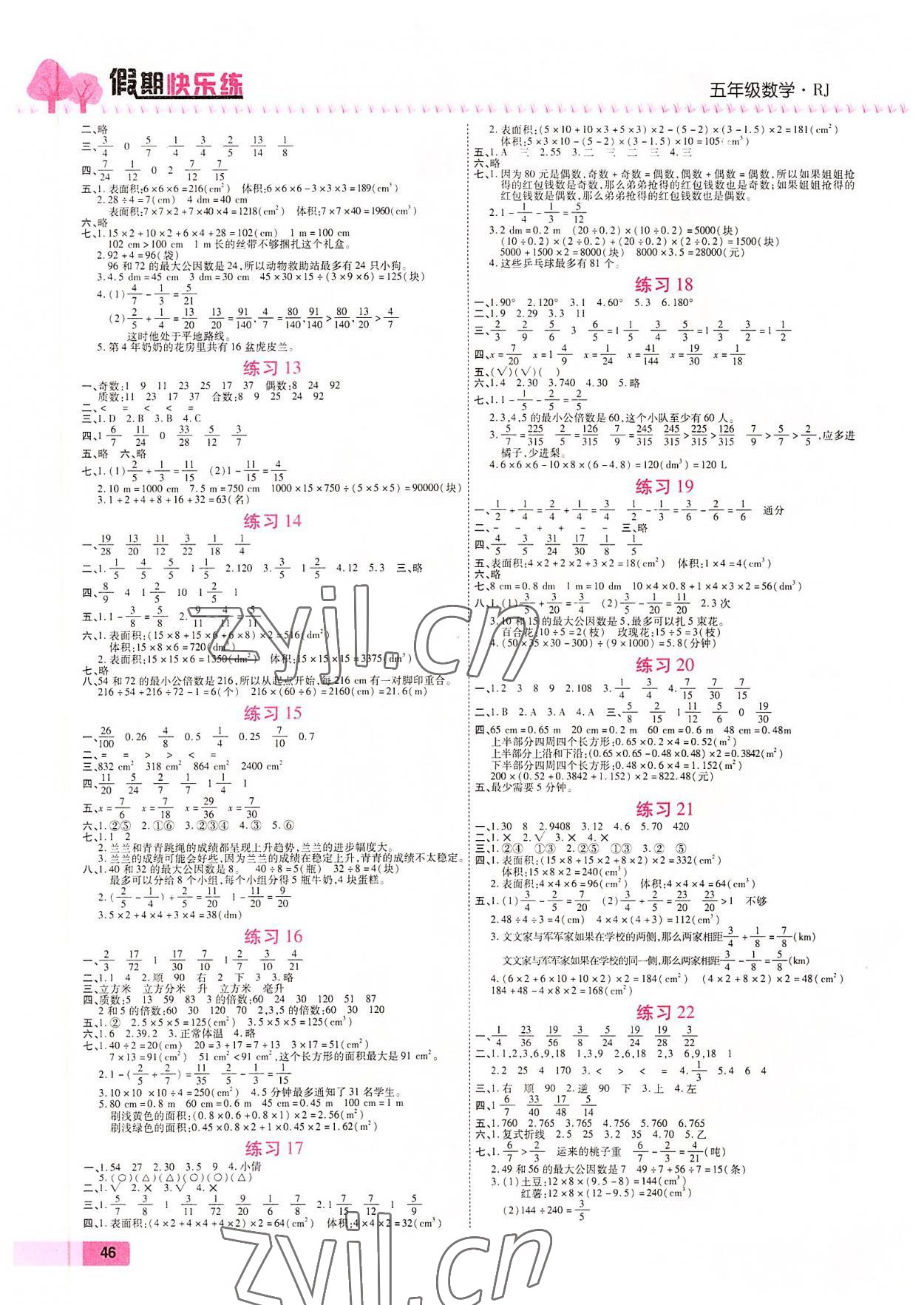 2022年培优假期快乐练五年级数学人教版 第2页