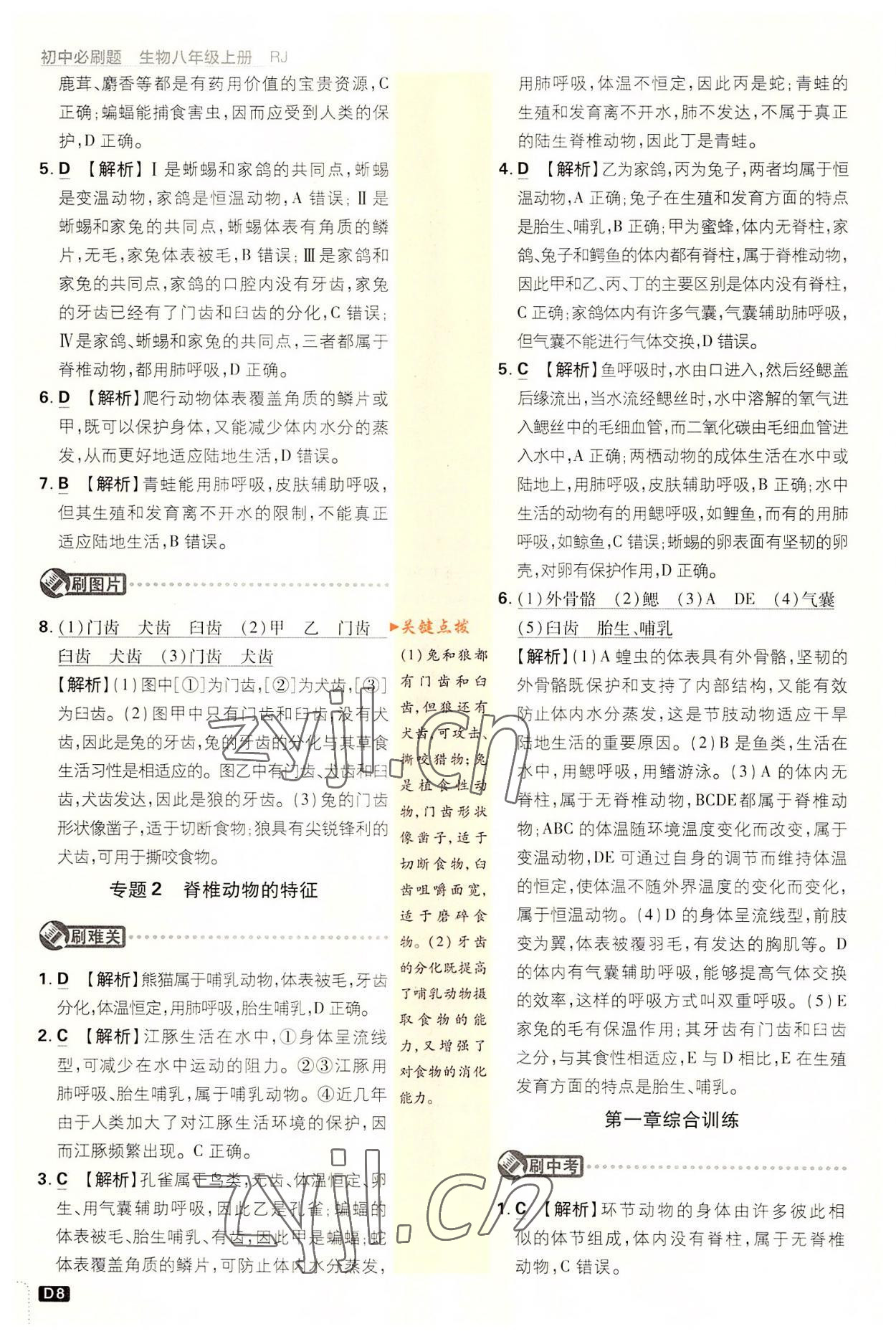 2022年初中必刷题八年级生物上册人教版&nbsp;第8页