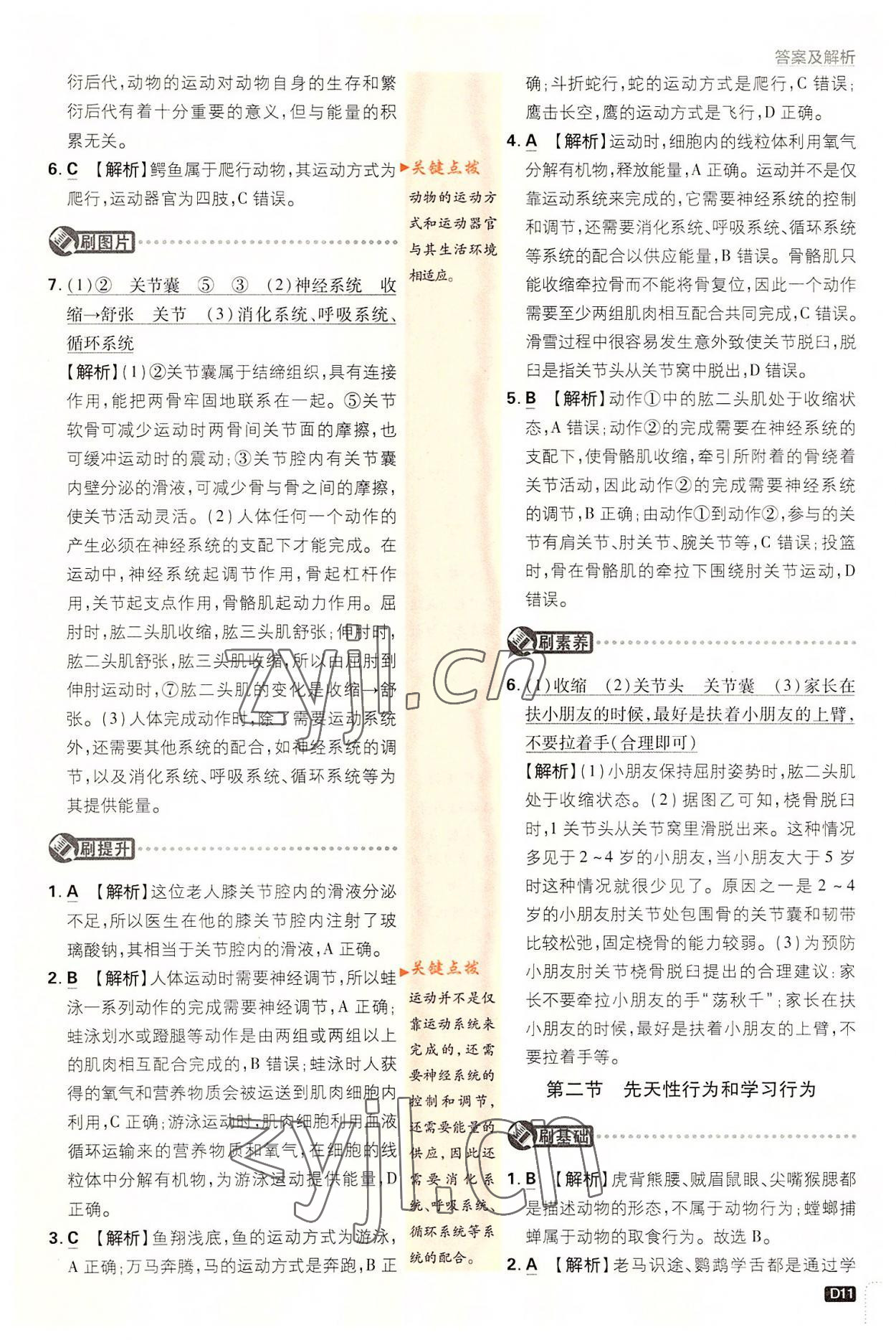 2022年初中必刷题八年级生物上册人教版&nbsp;第11页