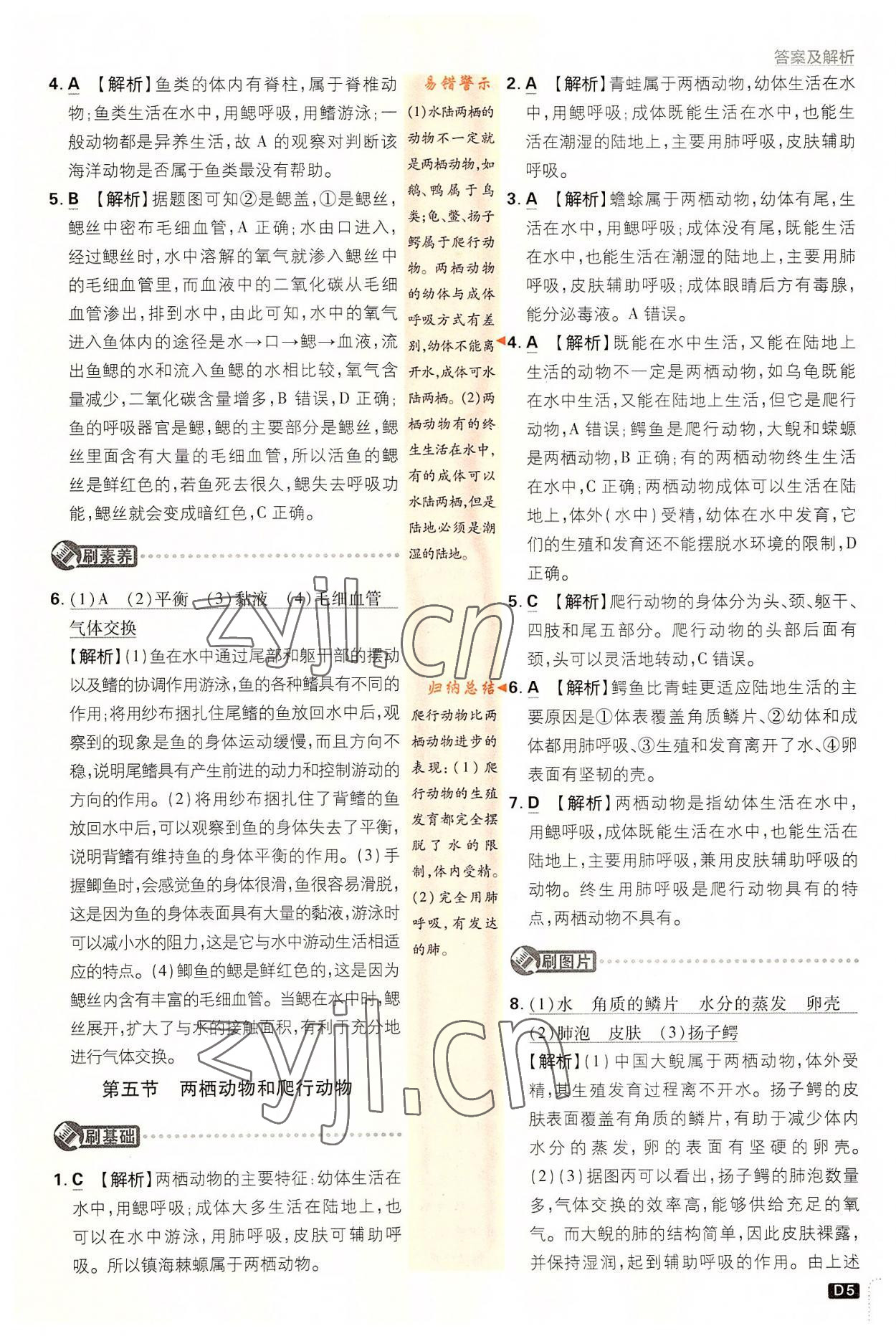 2022年初中必刷题八年级生物上册人教版&nbsp;第5页