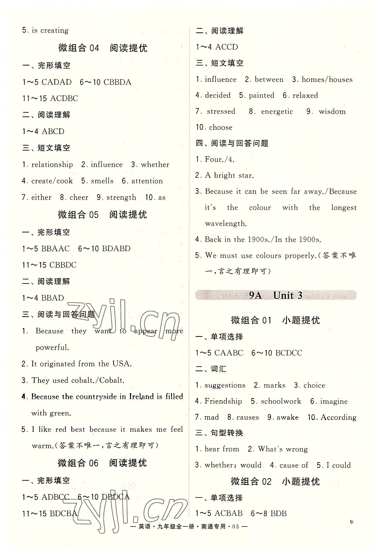 2022年學(xué)霸組合訓(xùn)練九年級英語全一冊譯林版南通專版 第3頁