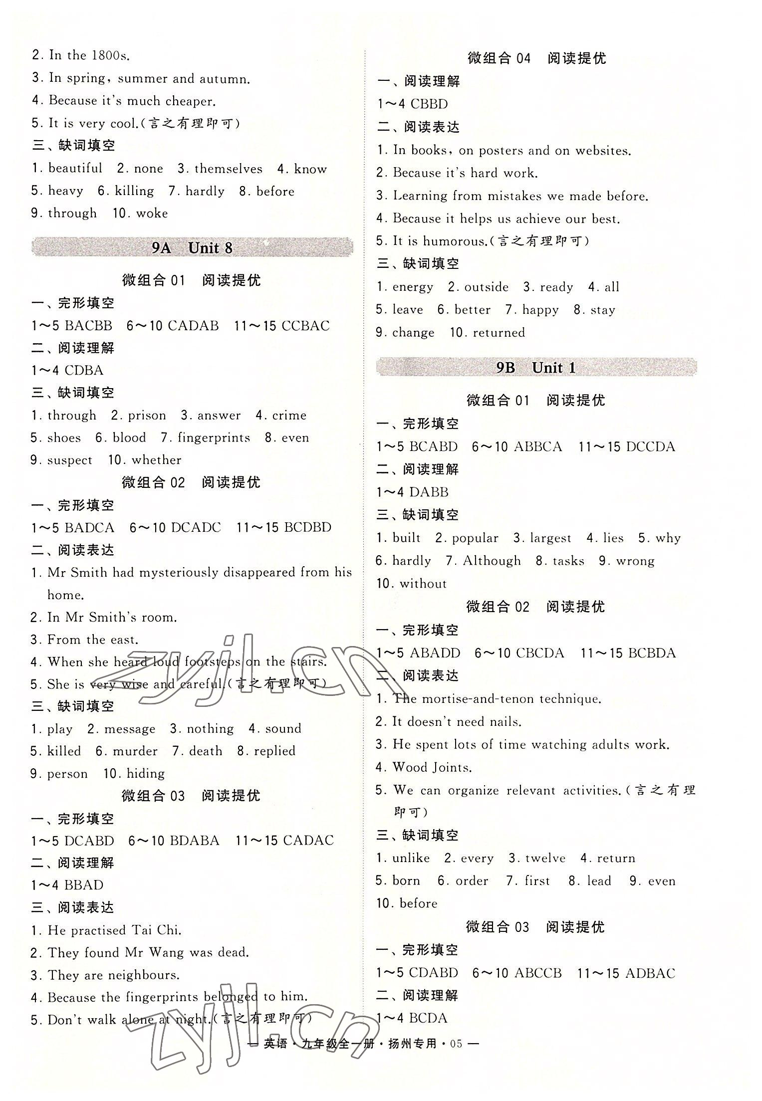 2022年學(xué)霸組合訓(xùn)練九年級(jí)英語(yǔ)全一冊(cè)譯林版揚(yáng)州專(zhuān)用 第5頁(yè)