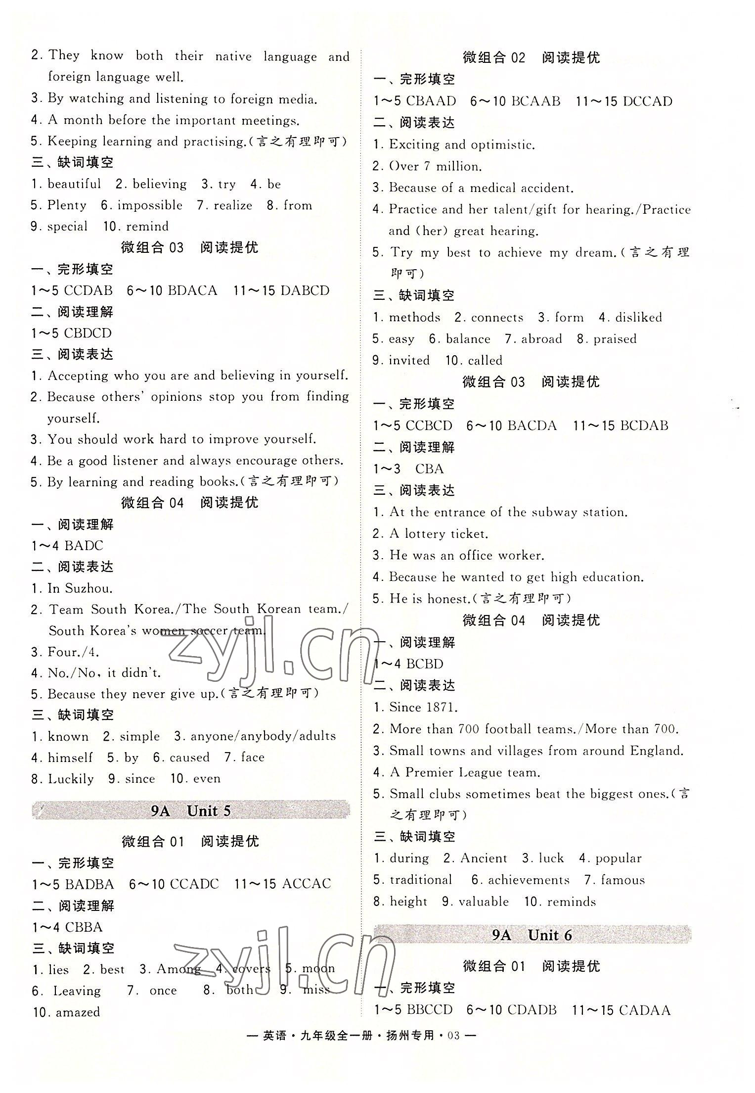 2022年學霸組合訓練九年級英語全一冊譯林版揚州專用 第3頁