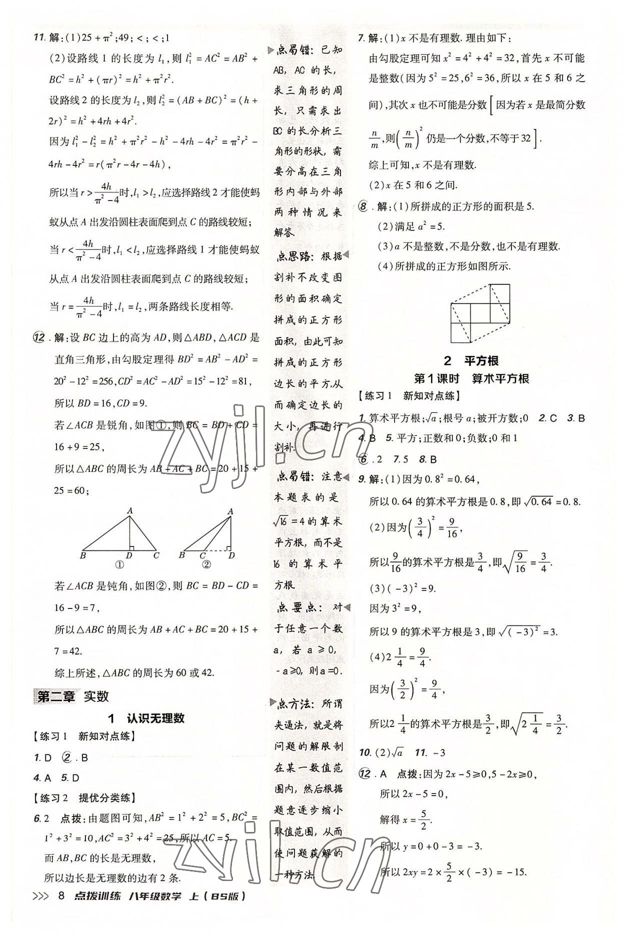 2022年点拨训练八年级数学上册北师大版 参考答案第7页