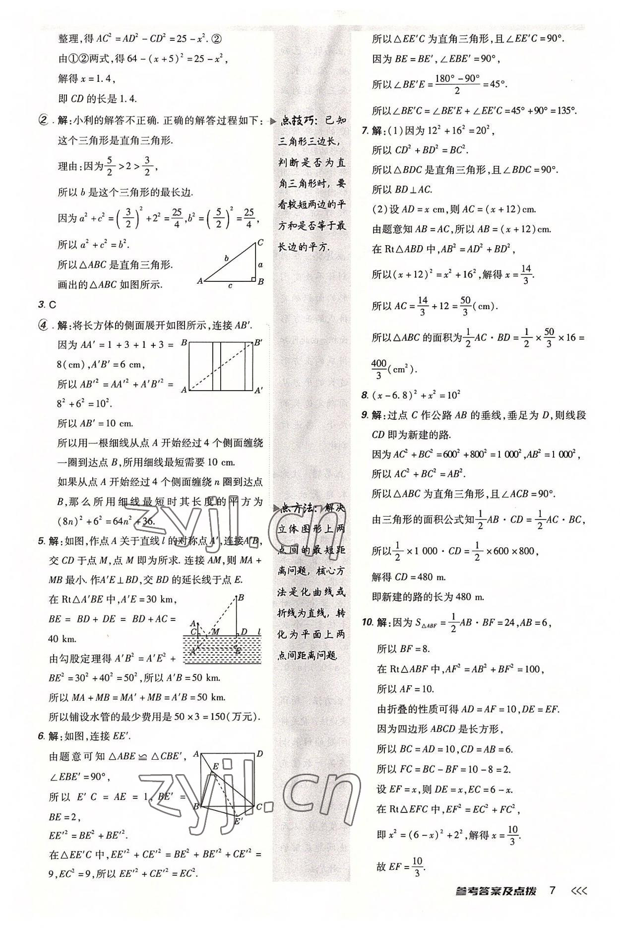 2022年点拨训练八年级数学上册北师大版 参考答案第6页