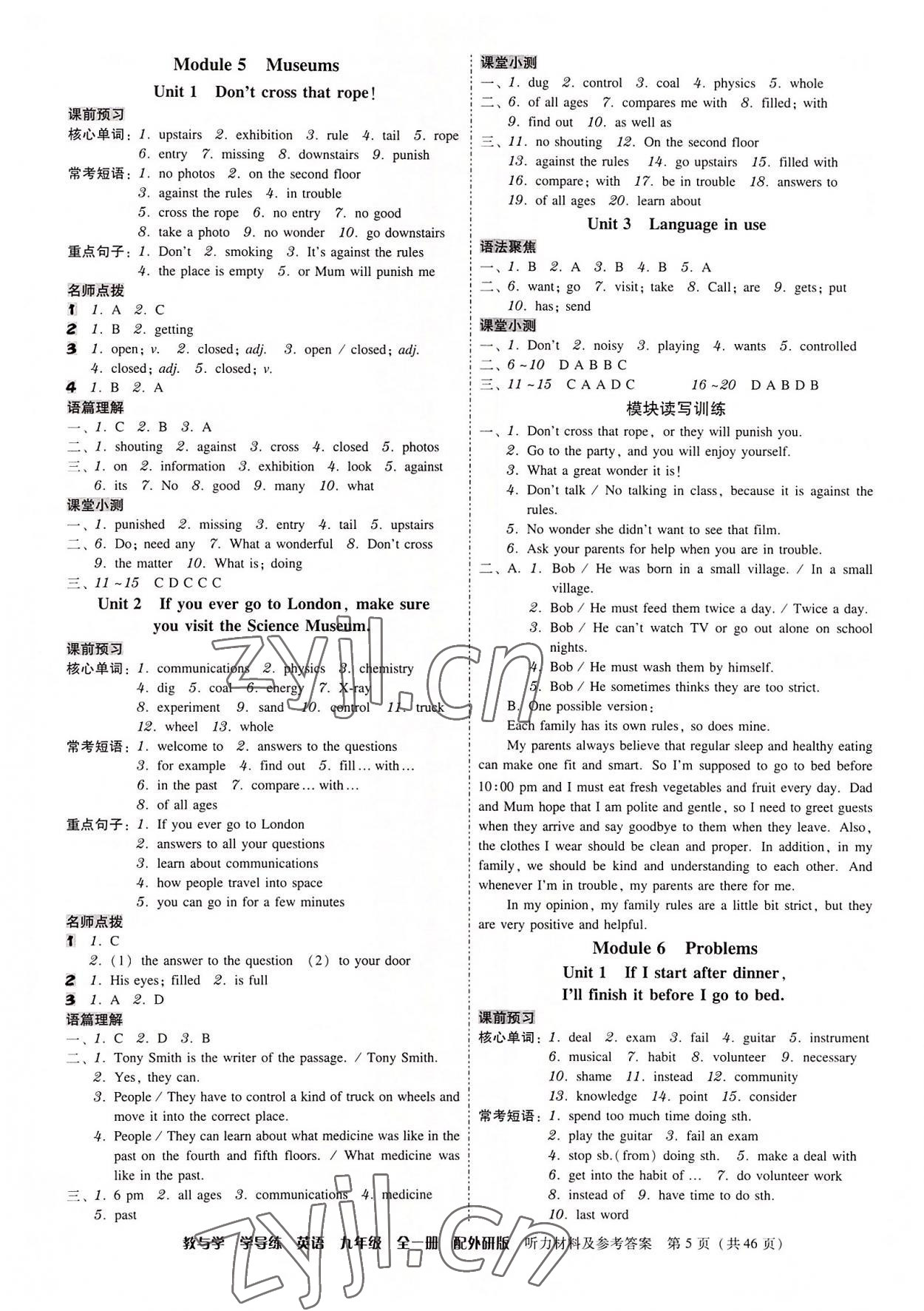 2022年教與學(xué)學(xué)導(dǎo)練九年級英語全一冊外研版 第5頁