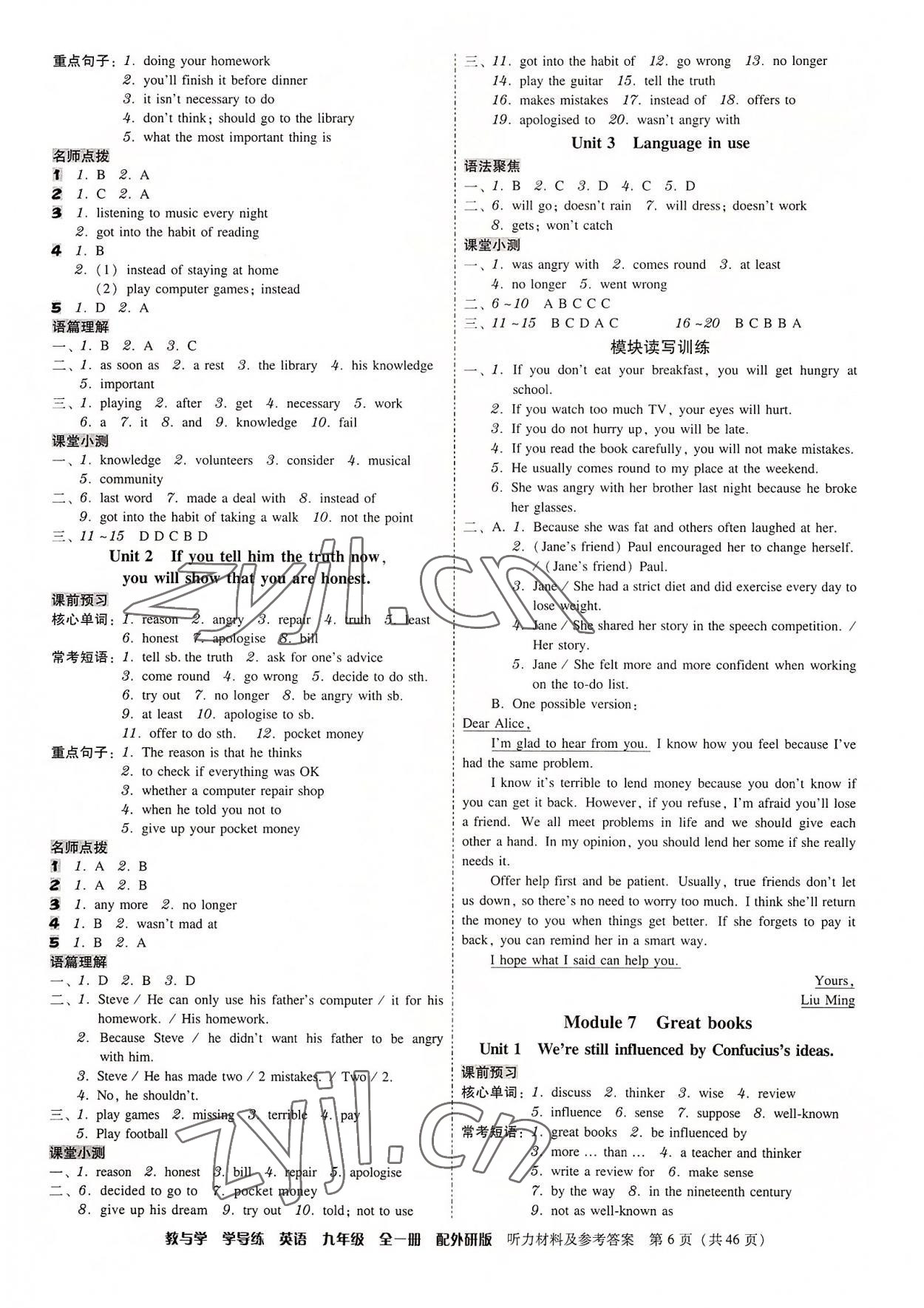 2022年教與學(xué)學(xué)導(dǎo)練九年級(jí)英語全一冊(cè)外研版 第6頁