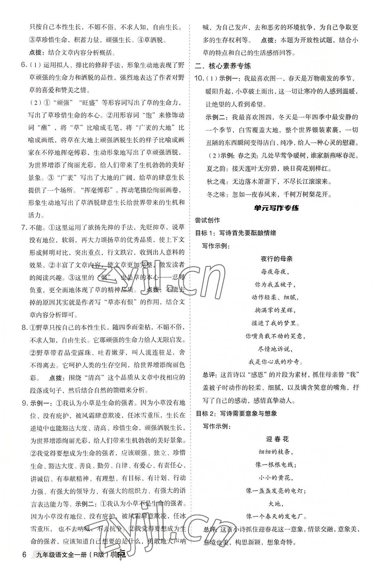 2022年綜合應(yīng)用創(chuàng)新題典中點九年級語文全一冊人教版 參考答案第5頁