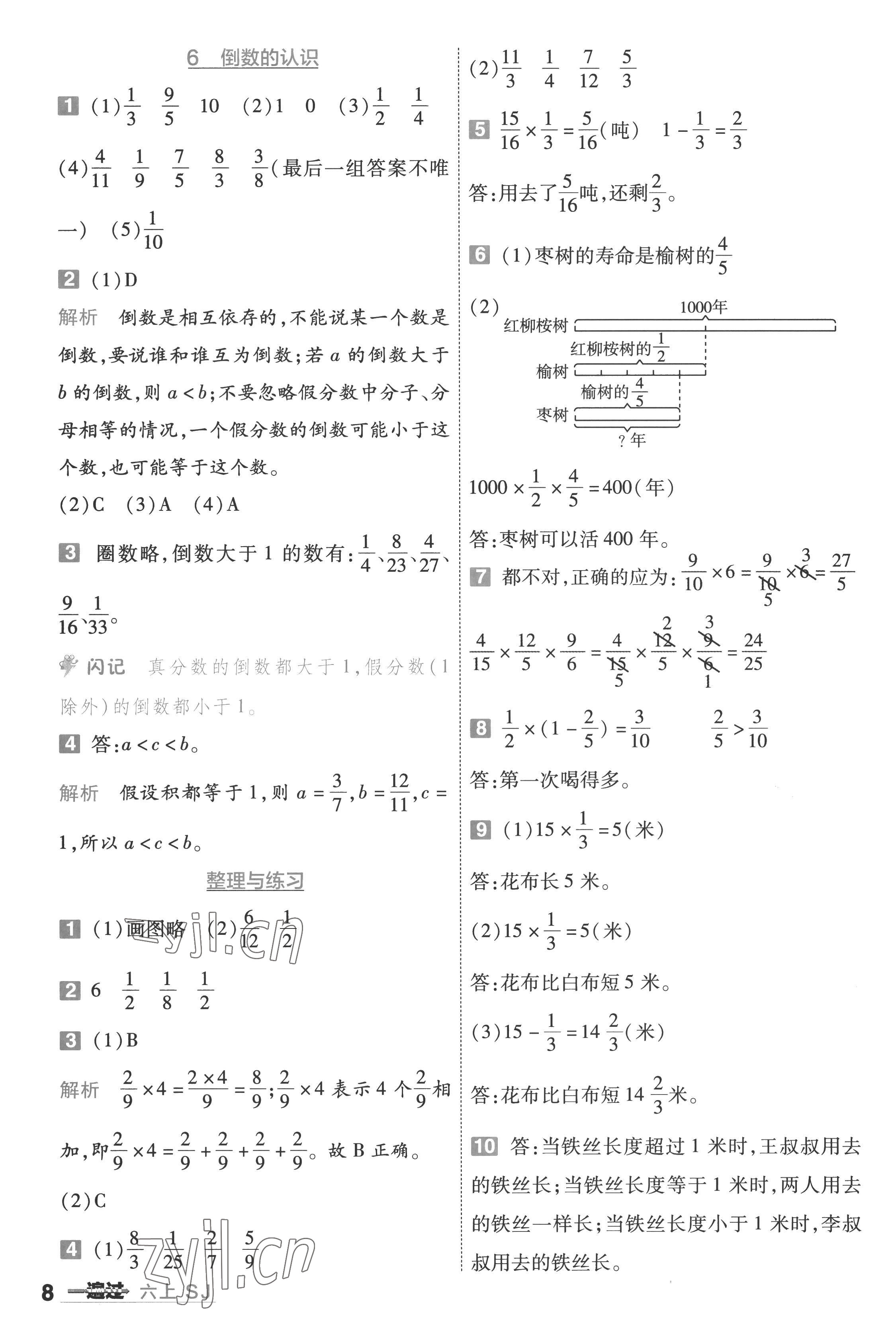 2022年一遍过六年级数学上册苏教版 第8页