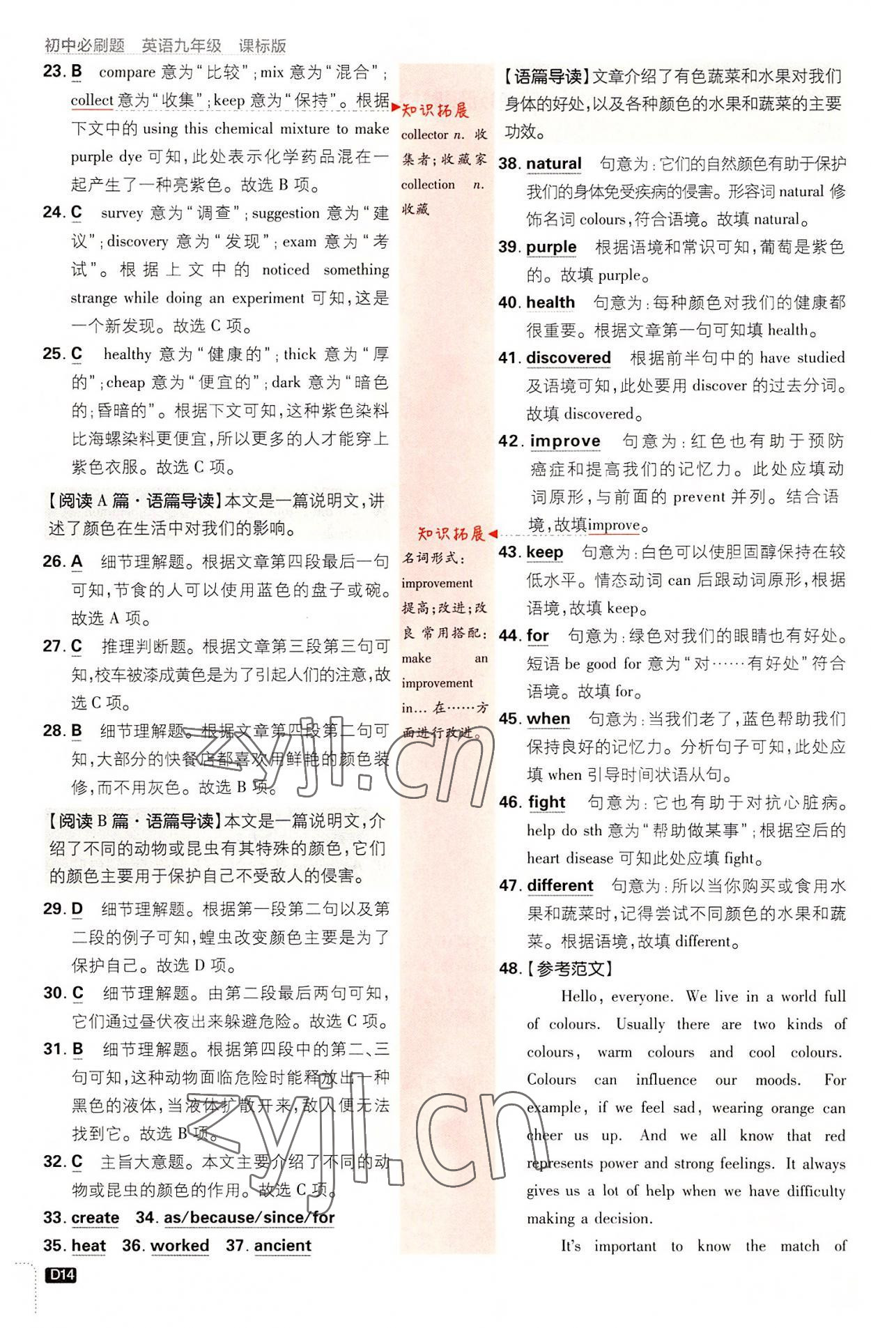 2022年初中必刷題九年級英語全一冊譯林版 第14頁