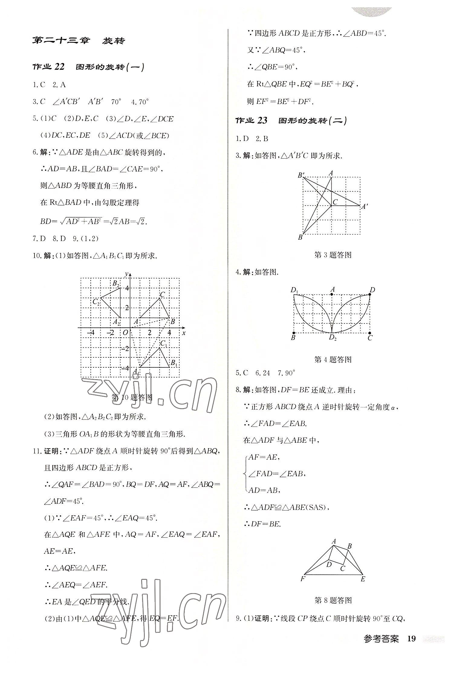 2022年启东中学作业本九年级数学上册人教版 第19页