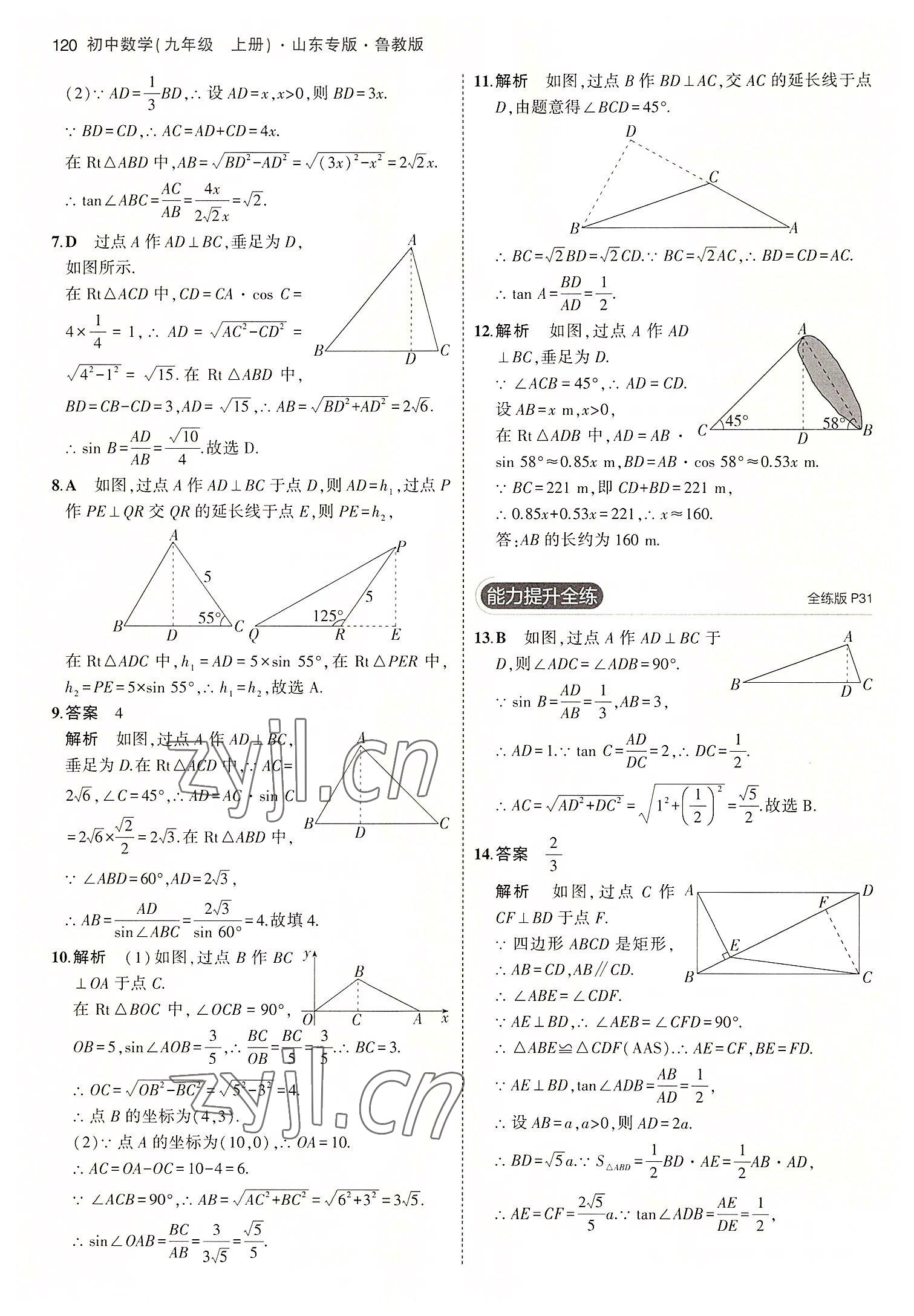 2022年5年中考3年模擬九年級數(shù)學上冊魯教版山東專版 第18頁