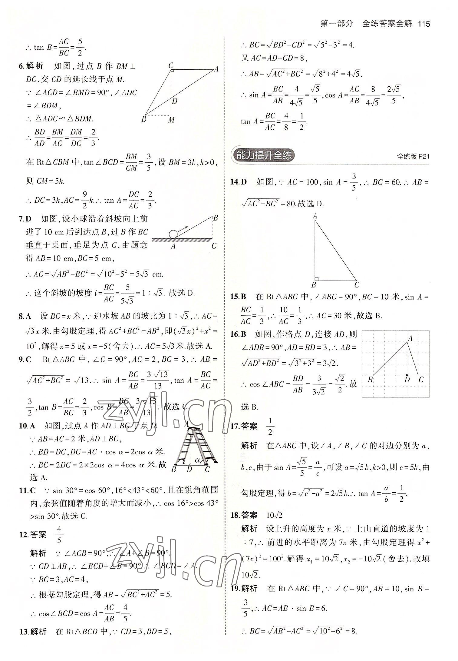 2022年5年中考3年模擬九年級數(shù)學上冊魯教版山東專版 第13頁