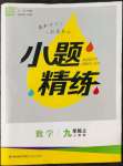 2022年通城學典小題精練九年級數(shù)學上冊人教版