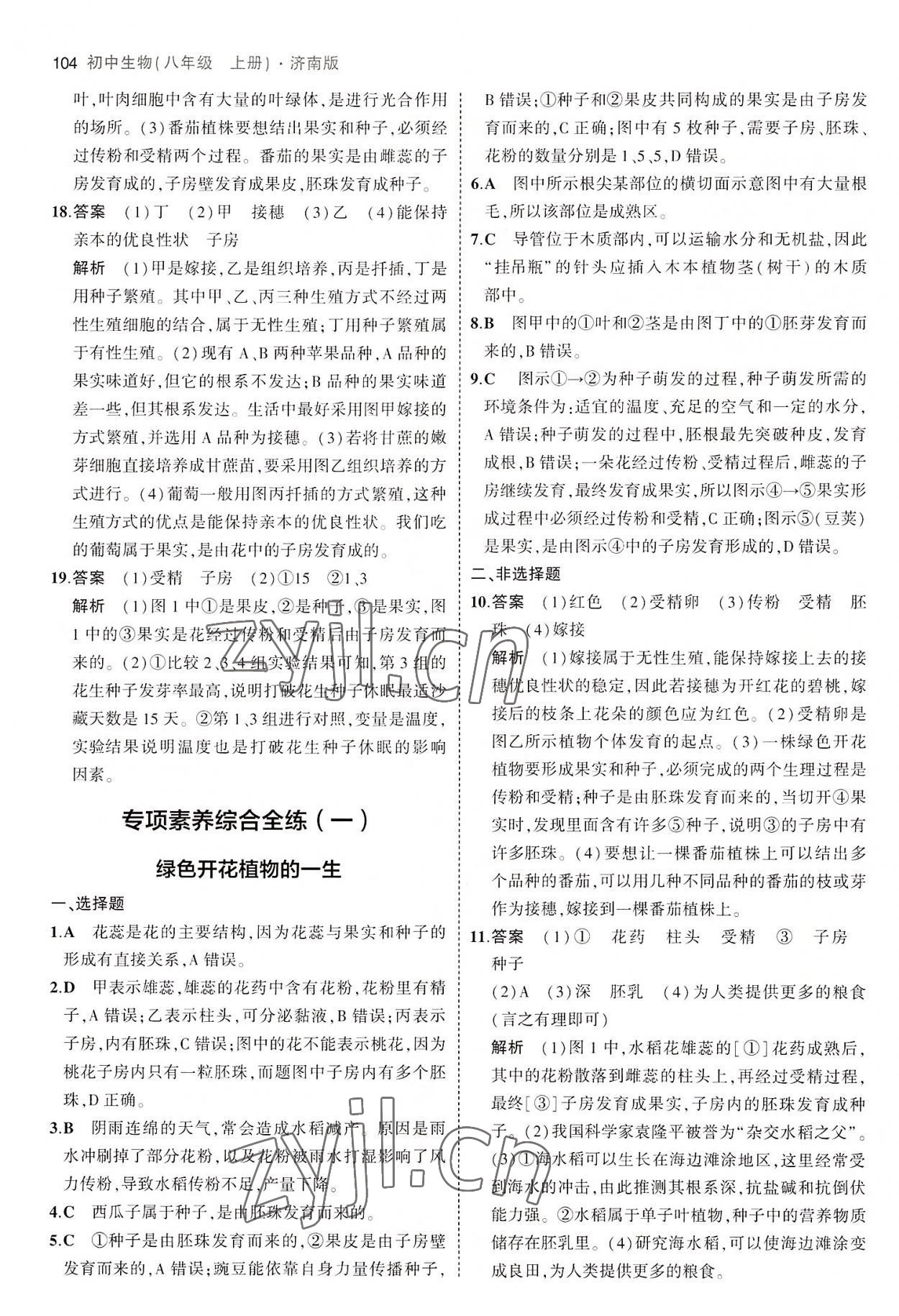 2022年5年中考3年模擬八年級(jí)生物上冊(cè)濟(jì)南版 第10頁