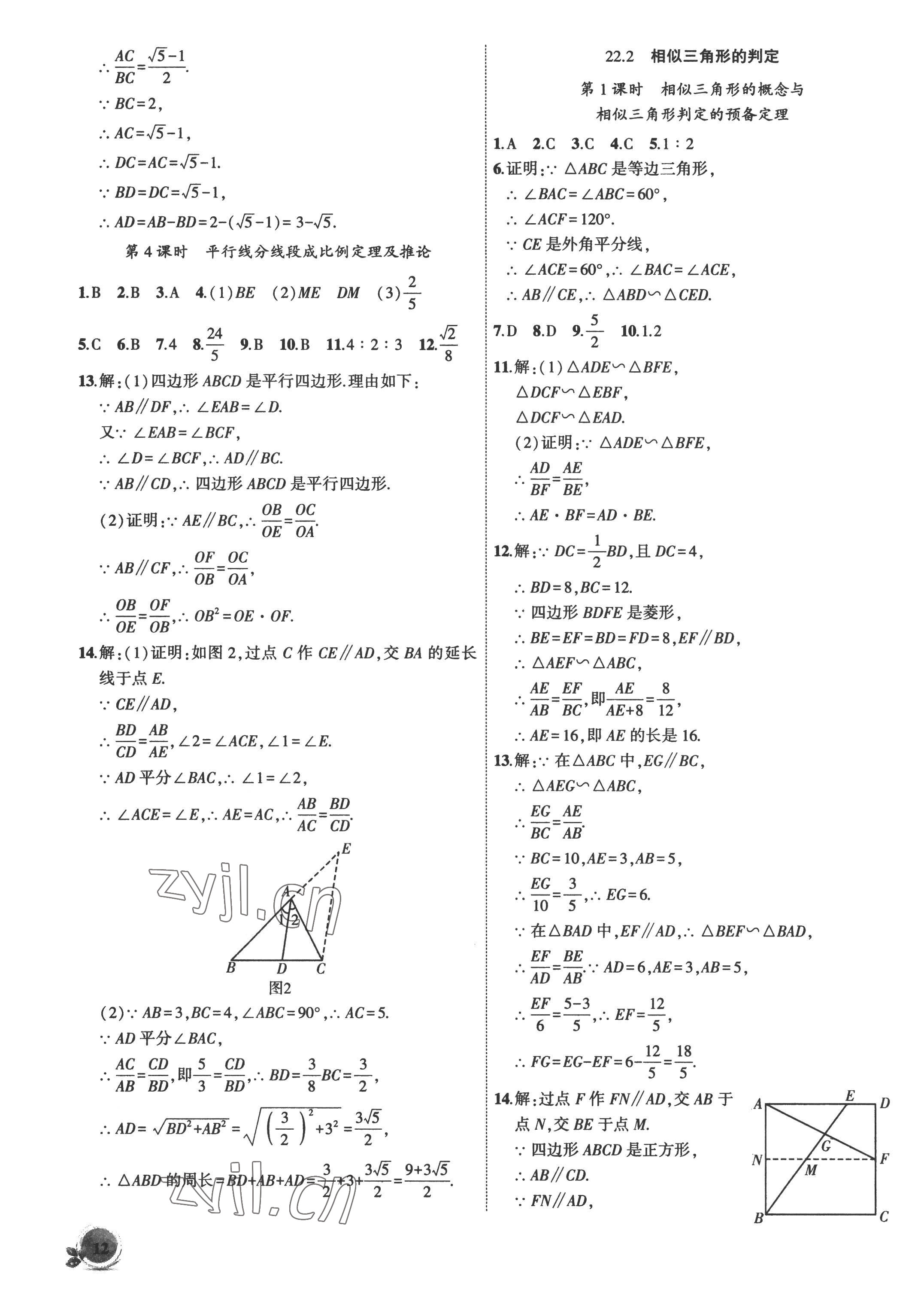 2022年創(chuàng)新課堂創(chuàng)新作業(yè)本九年級數(shù)學上冊滬科版 第12頁