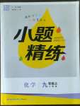 2022年通城學典小題精練九年級化學上冊人教版