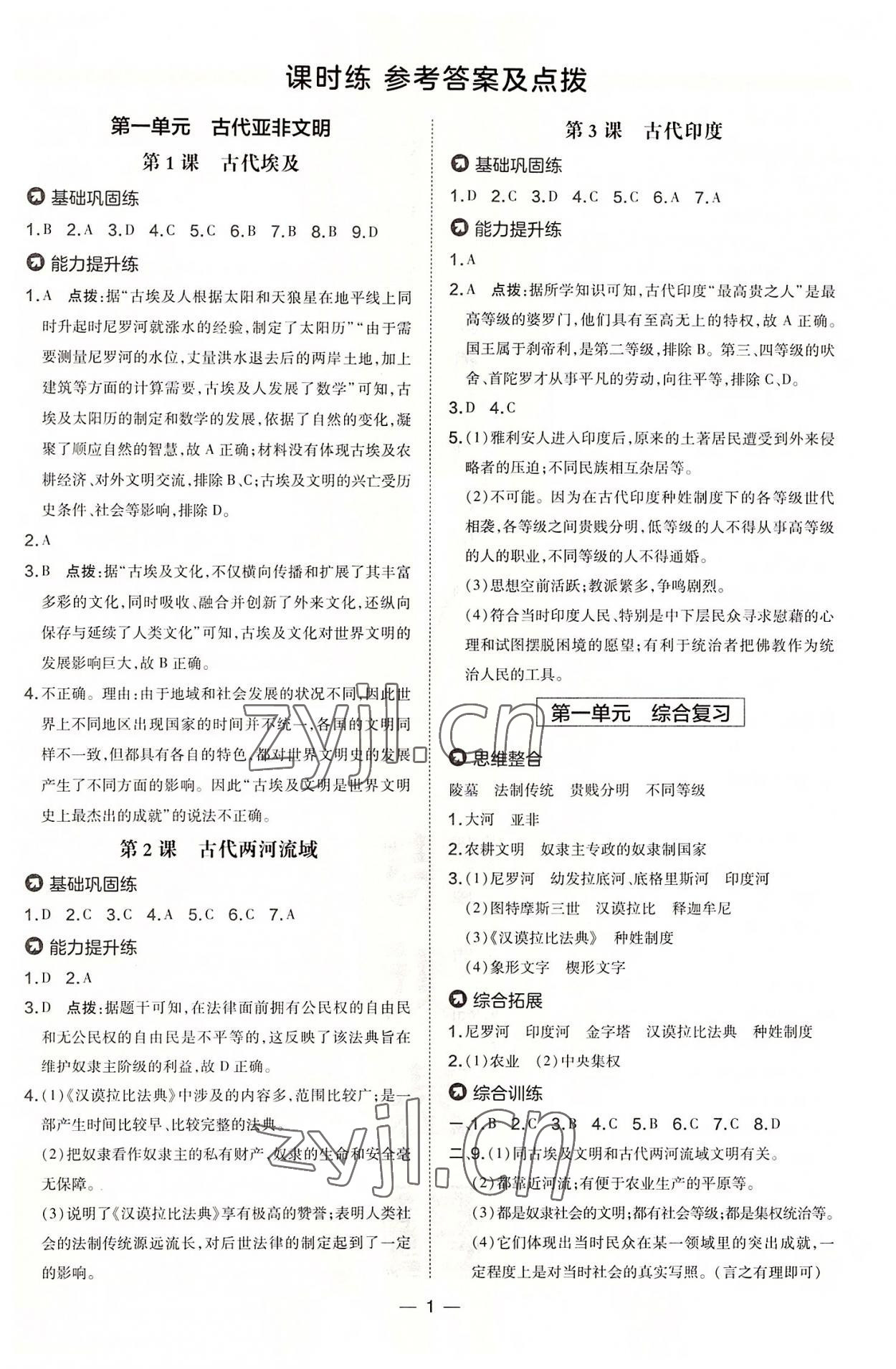 2022年點撥訓(xùn)練九年級歷史上冊人教版 參考答案第1頁