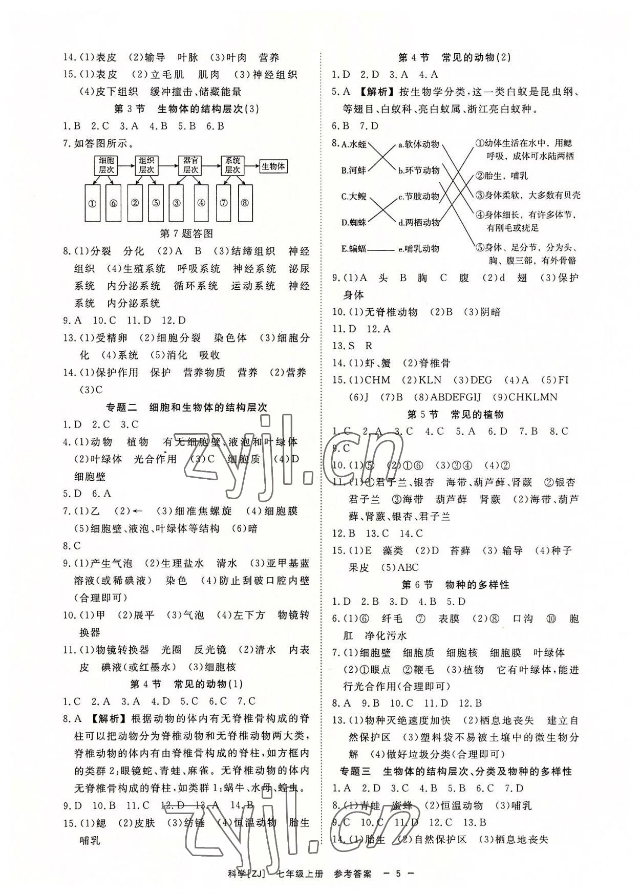 2022年全效學(xué)習(xí)七年級科學(xué)上冊浙教版精華版 參考答案第4頁