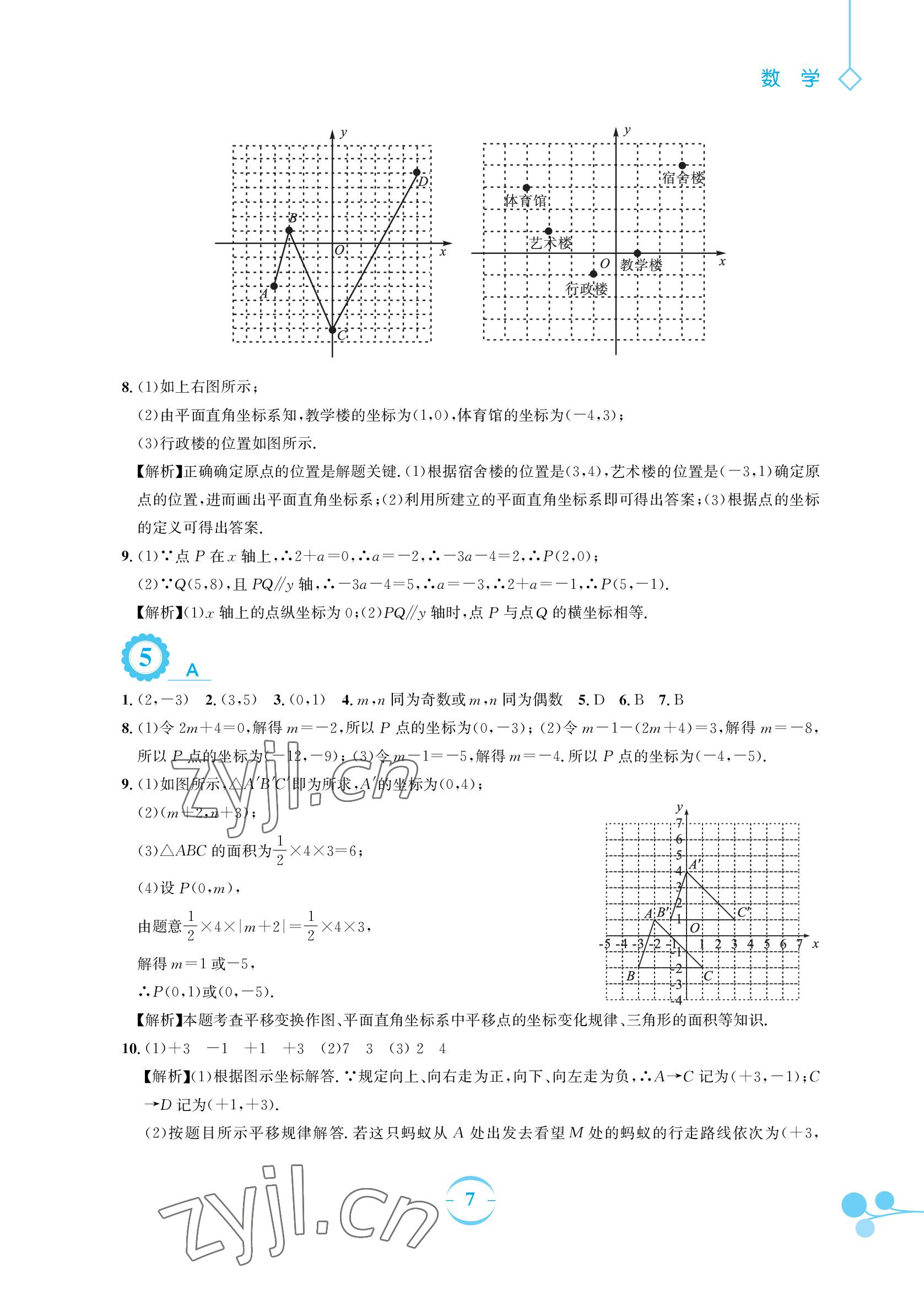 2022年暑假作业七年级数学人教版安徽教育出版社 参考答案第7页