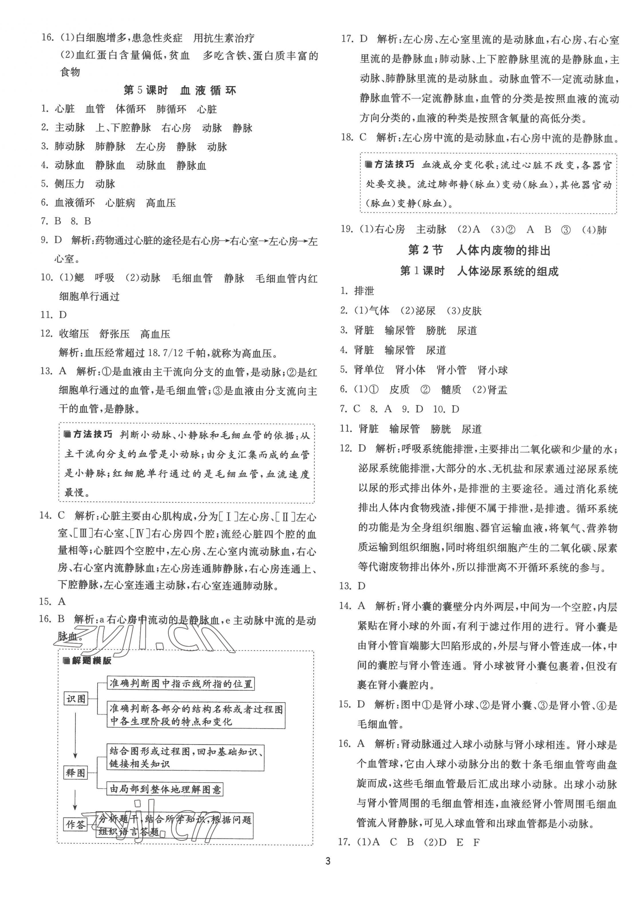 2022年1课3练单元达标测试八年级生物上册苏科版升级版 第3页