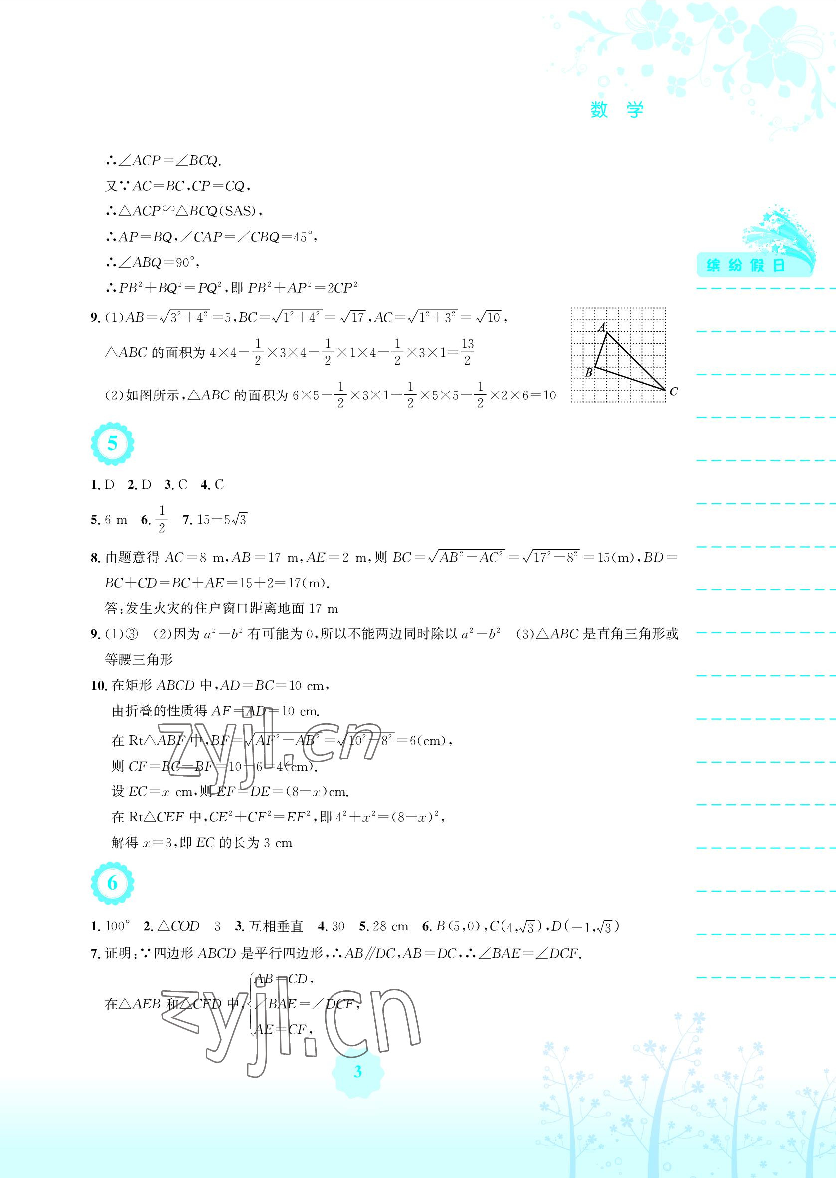 2022年暑假生活八年级数学人教版安徽教育出版社 参考答案第3页