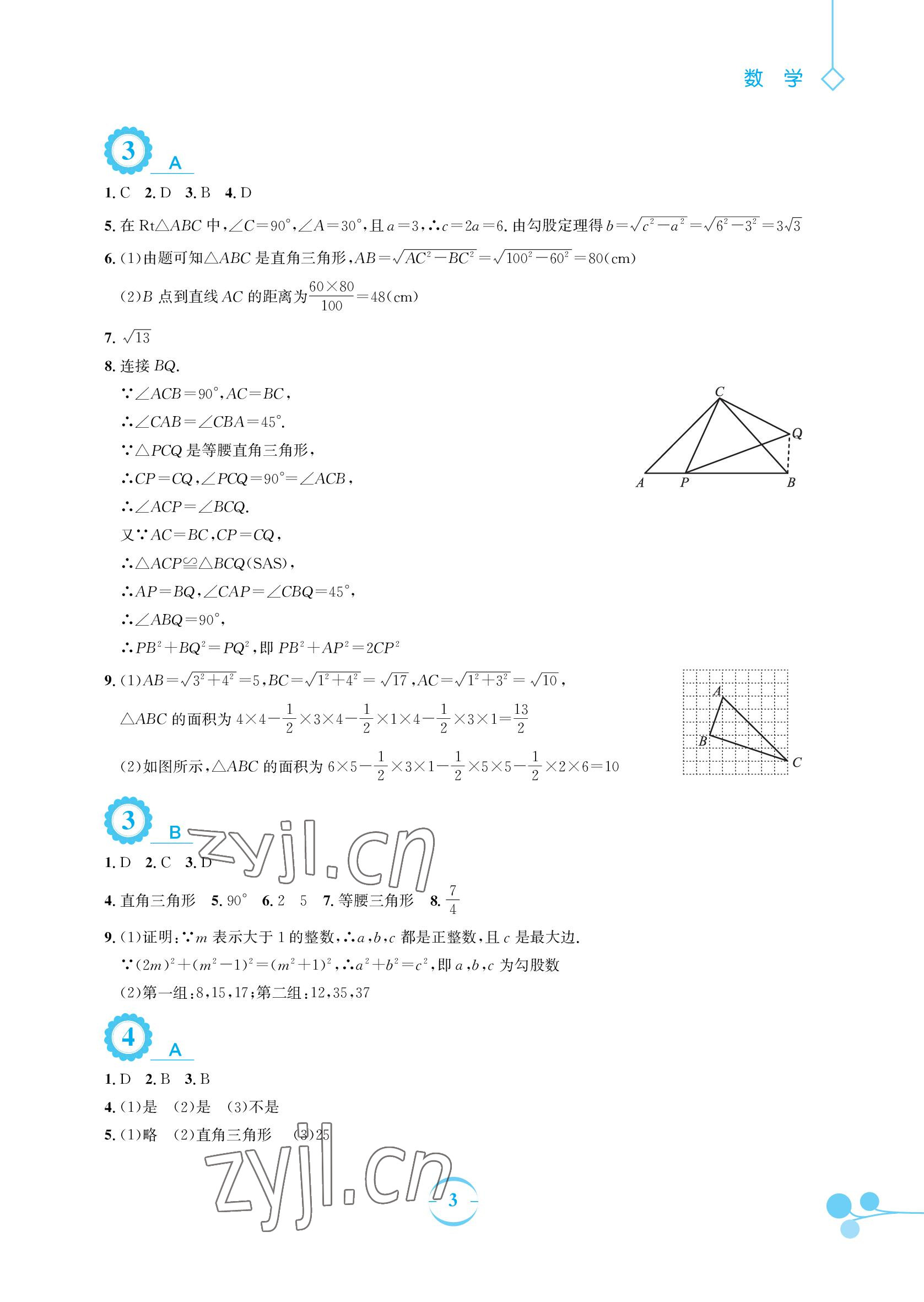 2022年暑假作業(yè)安徽教育出版社八年級(jí)數(shù)學(xué)人教版 參考答案第3頁