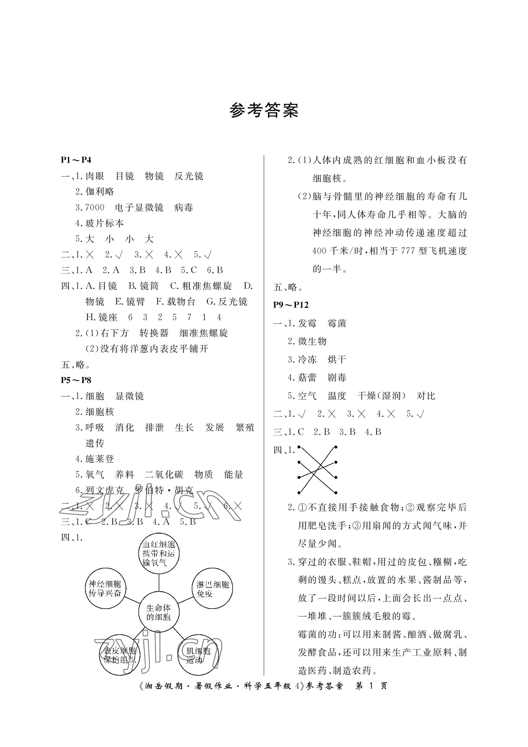 2022年湘岳假期暑假作业五年级科学湘科版 参考答案第1页