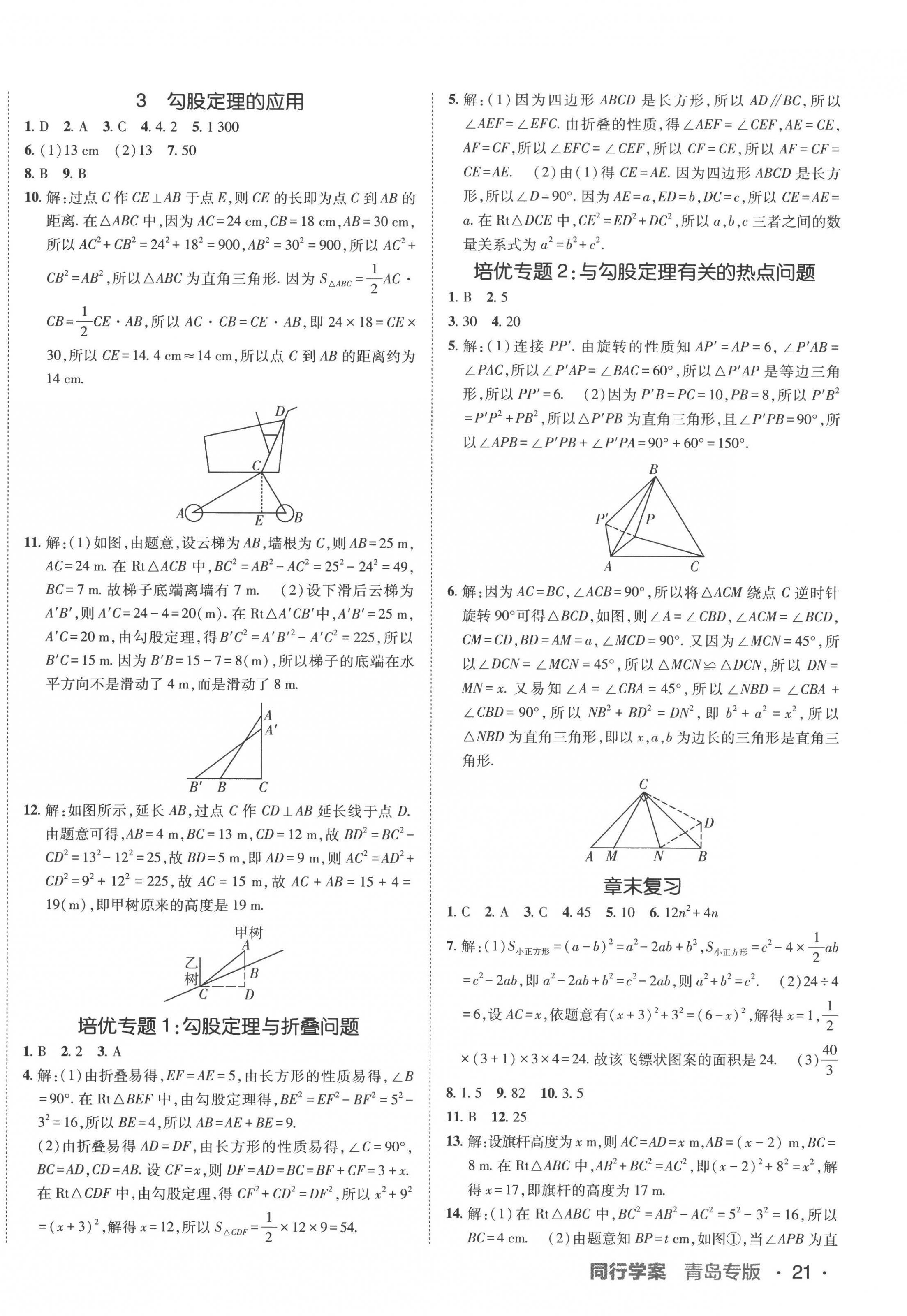 2022年同行學案學練測八年級數(shù)學上冊北師大版青島專版 第2頁