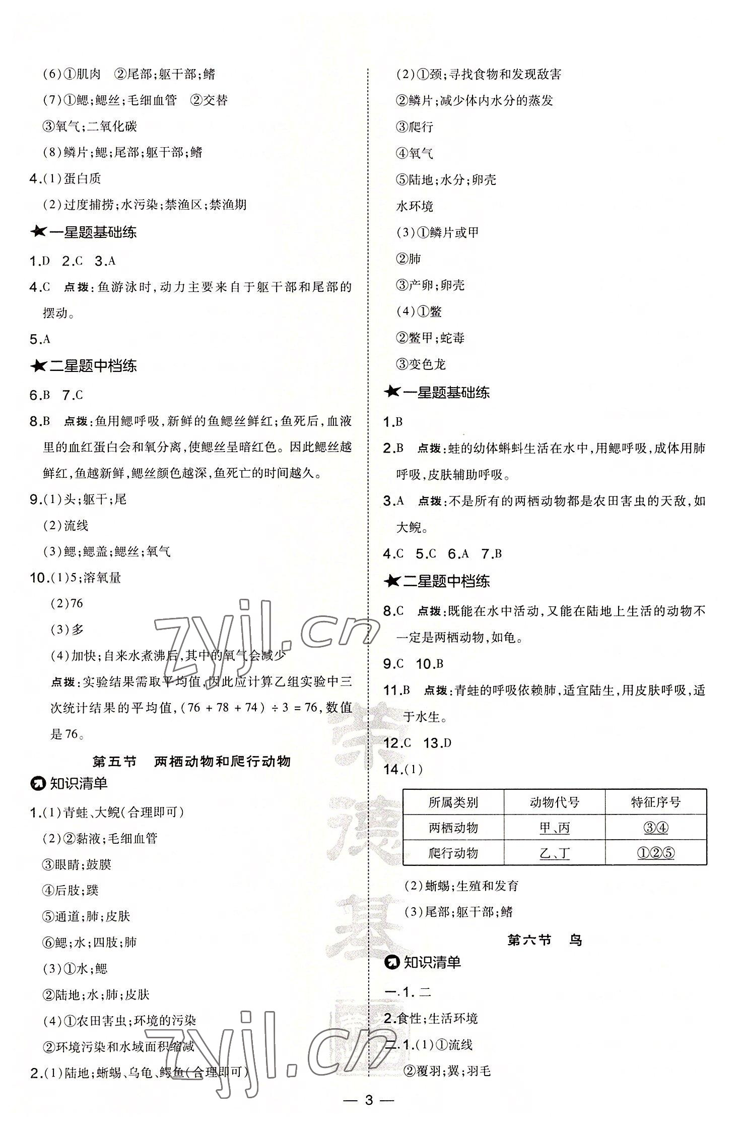 2022年点拨训练八年级生物上册人教版 参考答案第3页