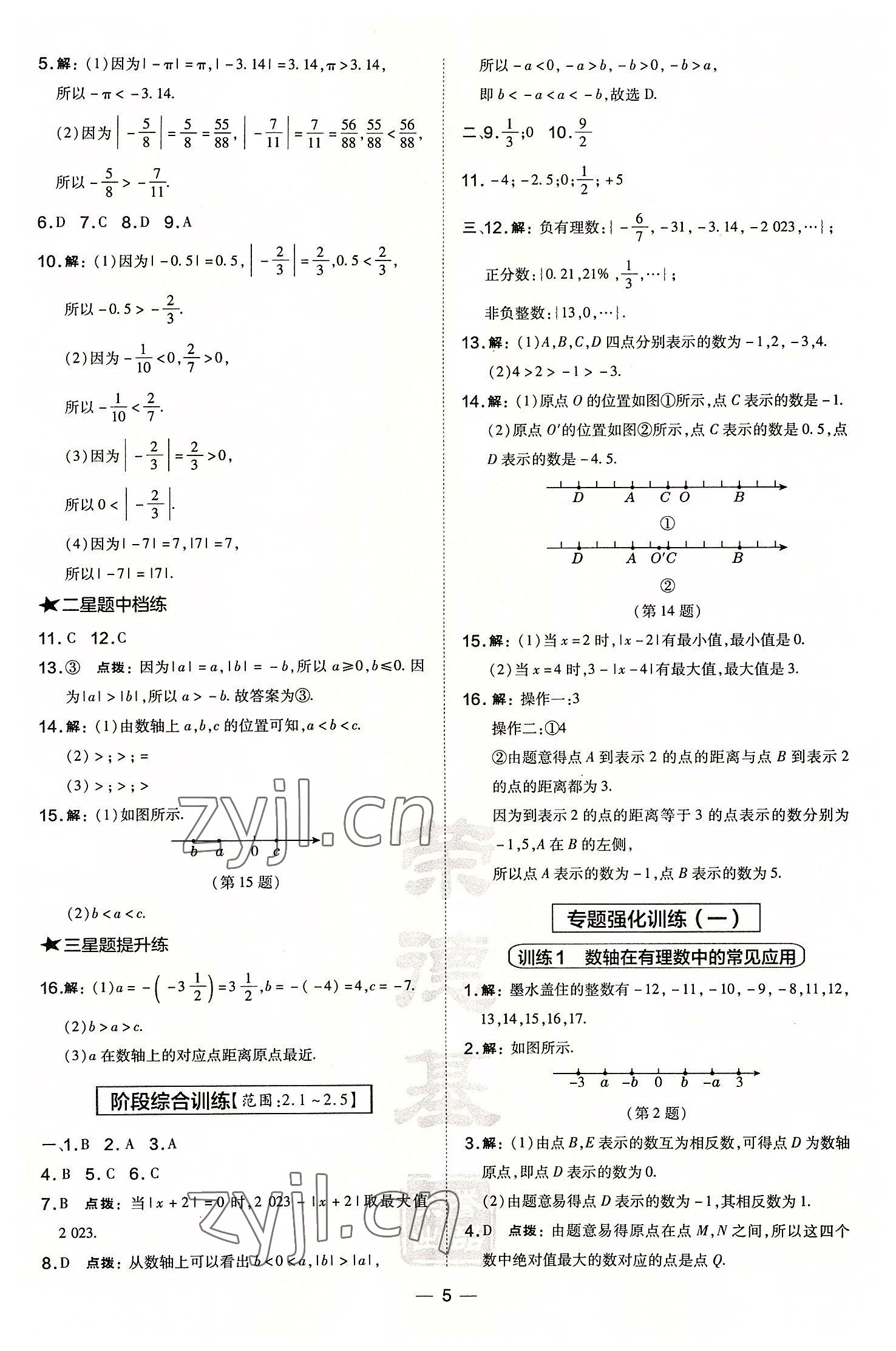 2022年点拨训练七年级数学上册华师大版 参考答案第5页