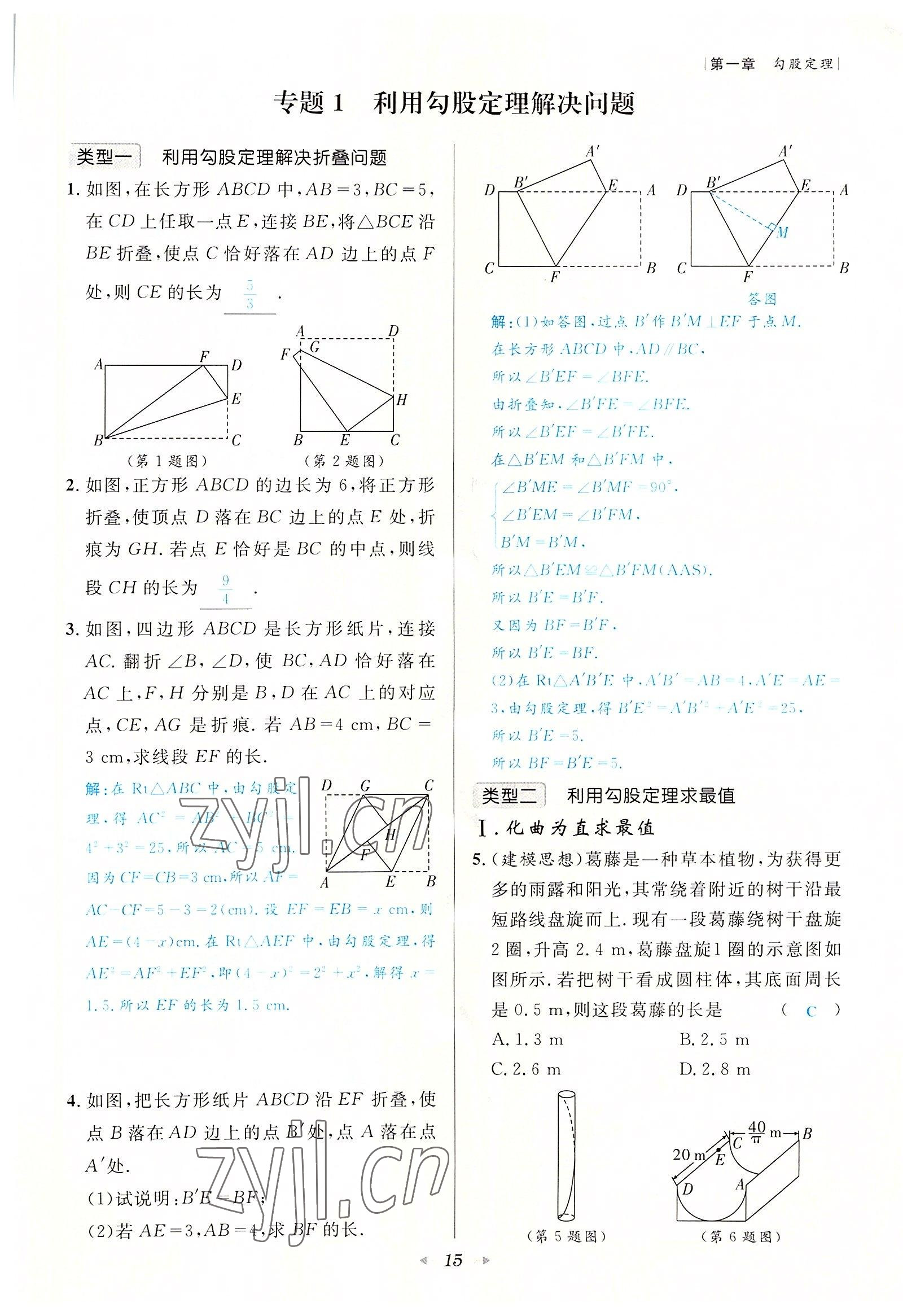 2022年數(shù)學一號八年級數(shù)學上冊北師大版 參考答案第15頁