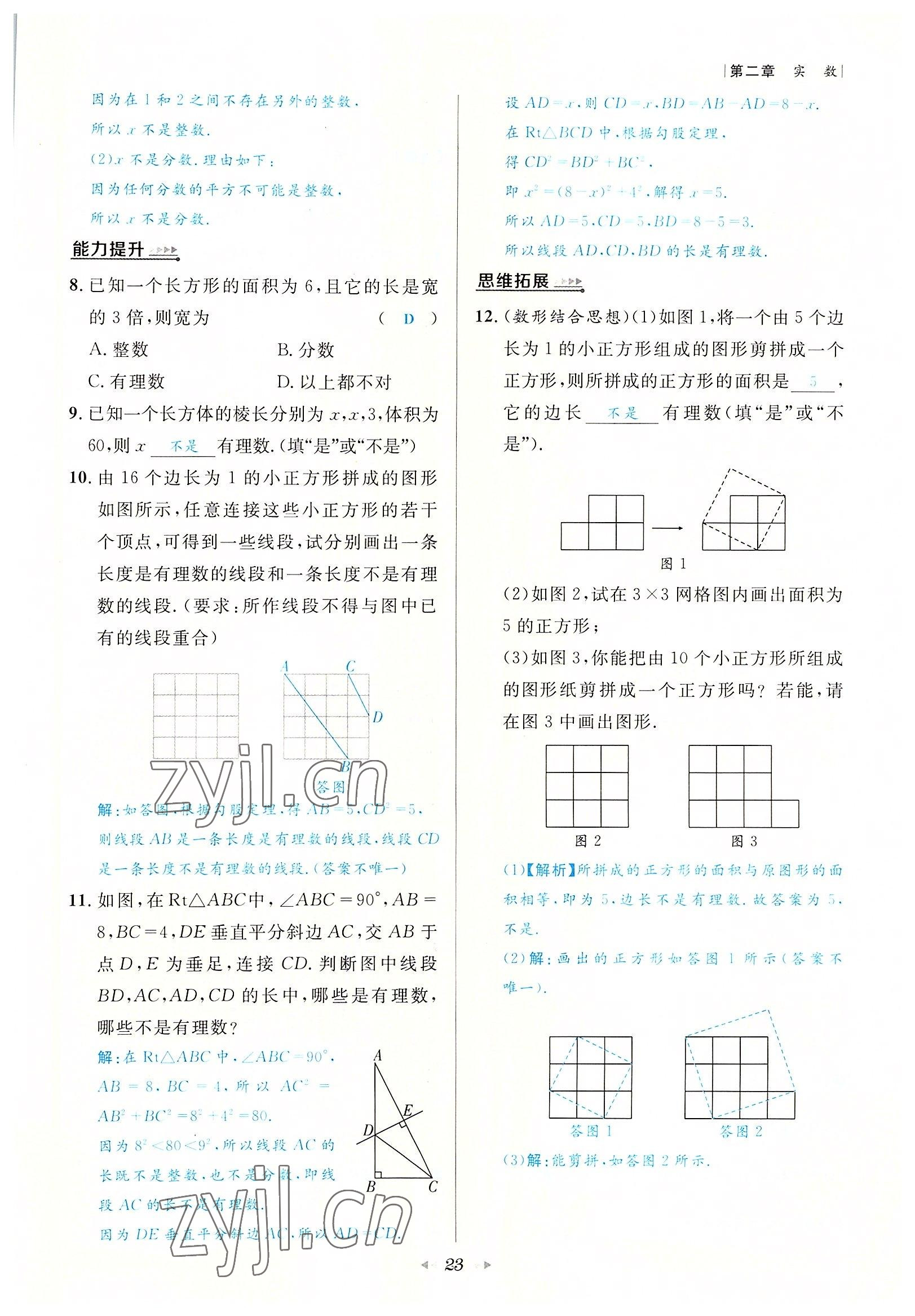 2022年數(shù)學一號八年級數(shù)學上冊北師大版 參考答案第23頁