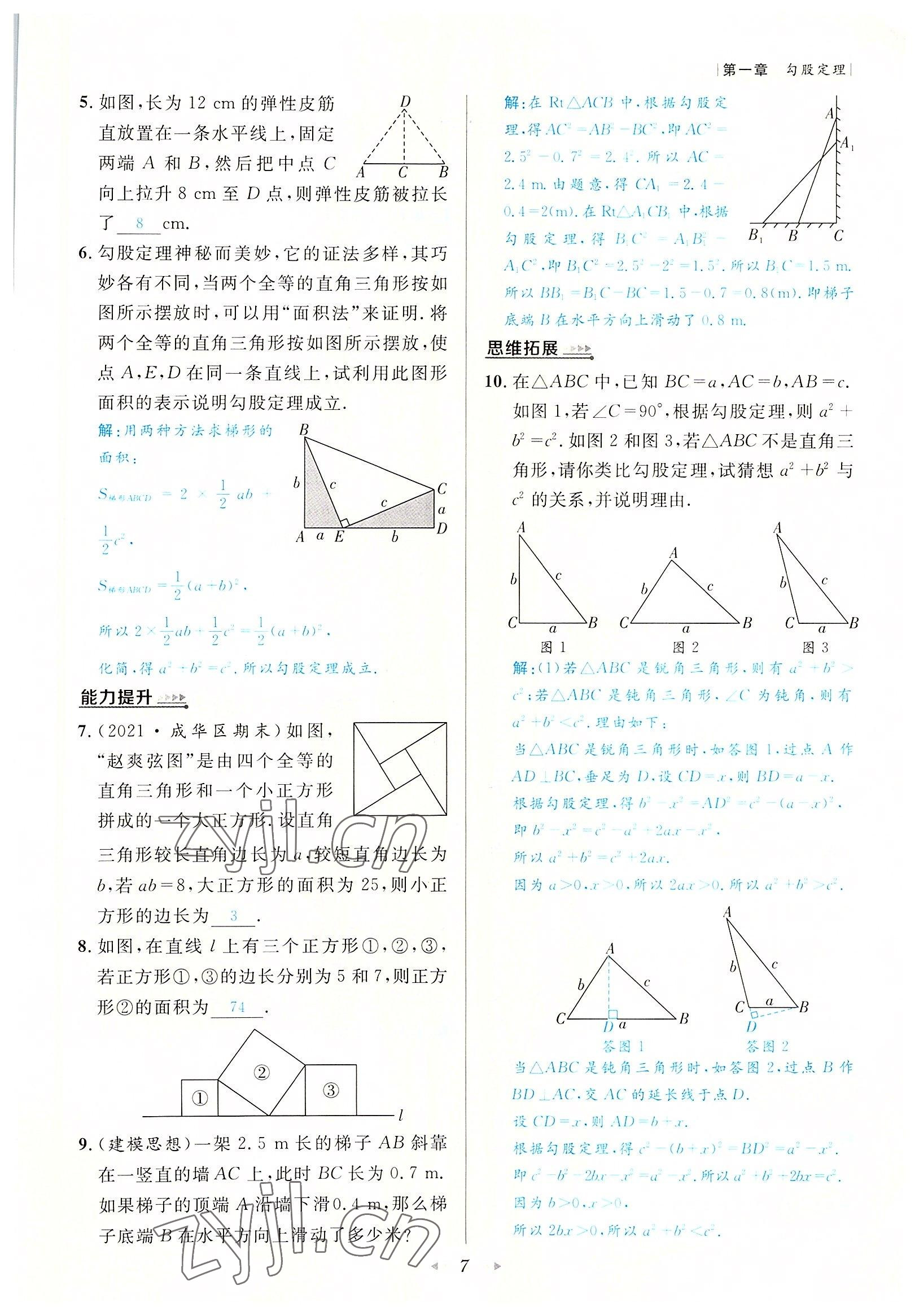 2022年數(shù)學(xué)一號(hào)八年級(jí)數(shù)學(xué)上冊(cè)北師大版 參考答案第7頁