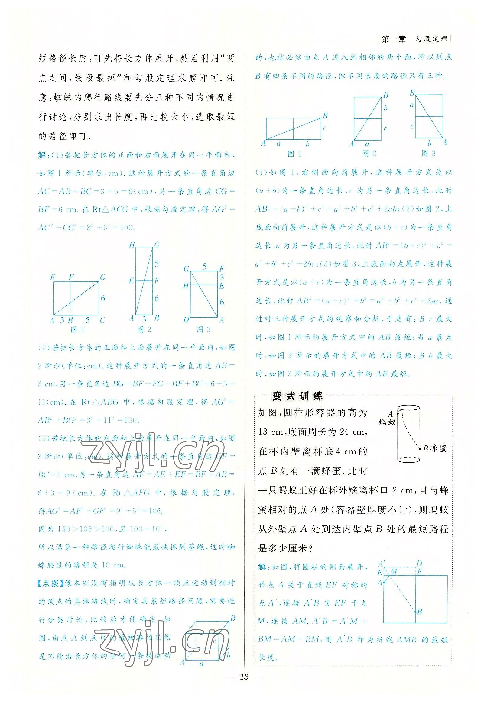 2022年課內達標同步學案初數一號八年級數學上冊北師大版 參考答案第13頁