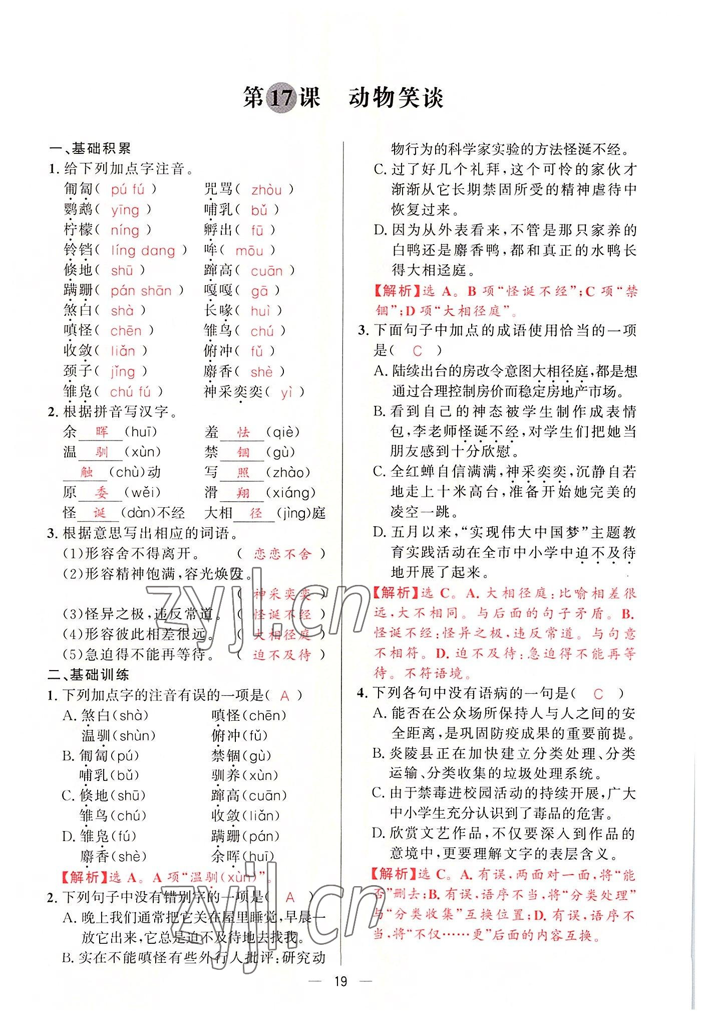2022年驕子1號七年級語文上冊人教版 參考答案第37頁