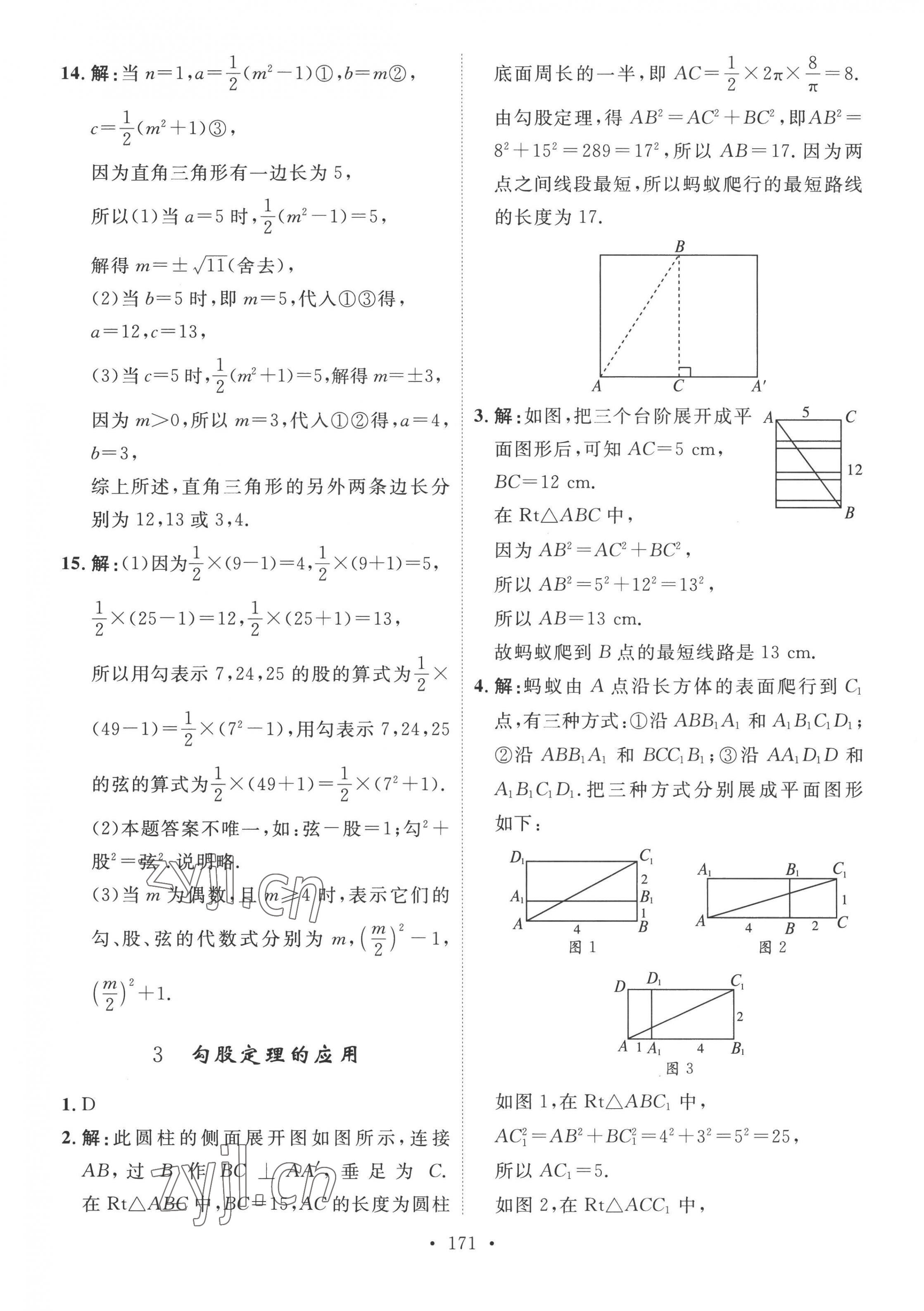 2022年思路教练同步课时作业八年级数学上册北师大版 第3页