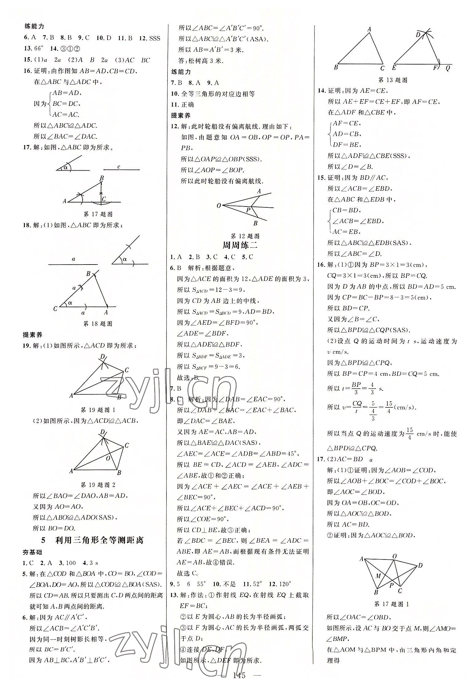 2022年細(xì)解巧練七年級(jí)數(shù)學(xué)上冊(cè)魯教版五四制 參考答案第4頁