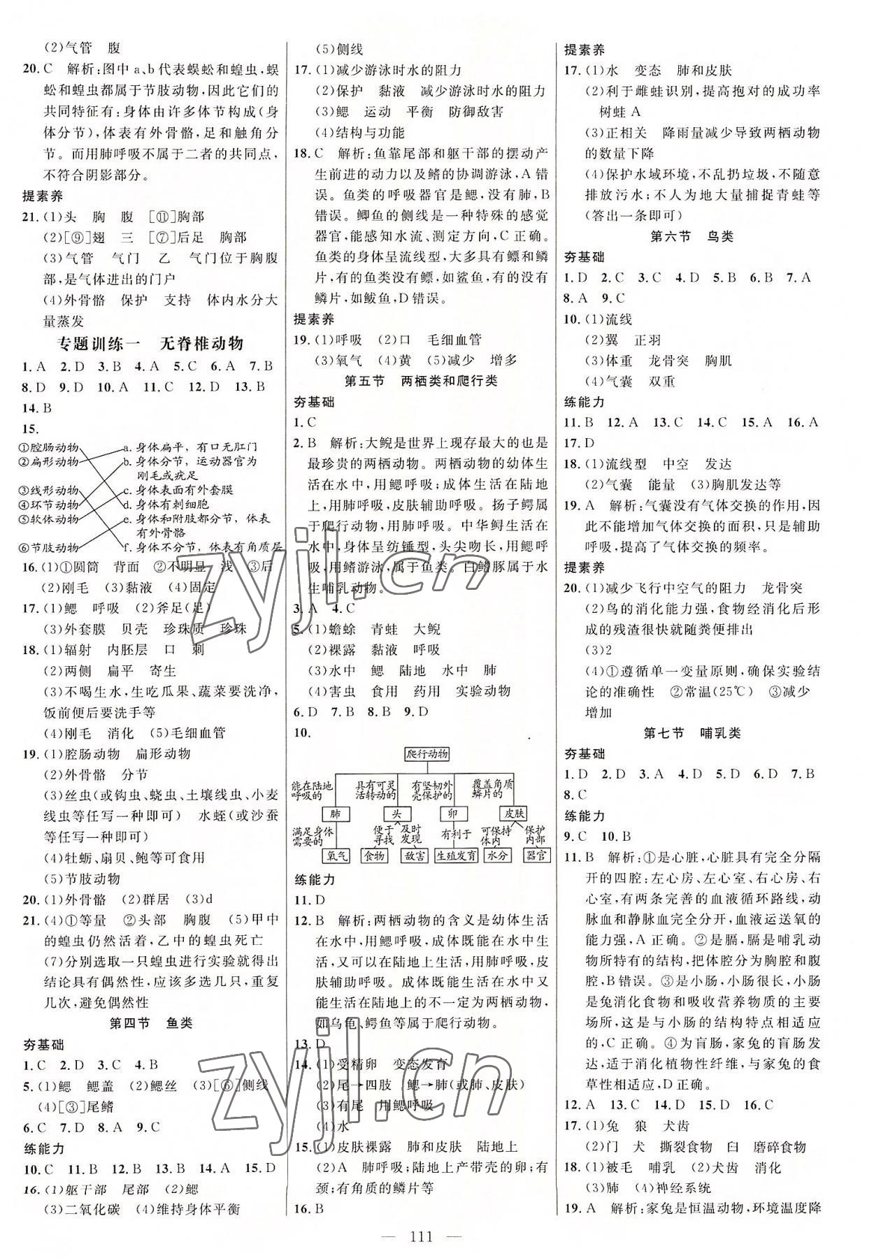 2022年細(xì)解巧練八年級(jí)生物上冊(cè)魯科版五四制 參考答案第2頁(yè)