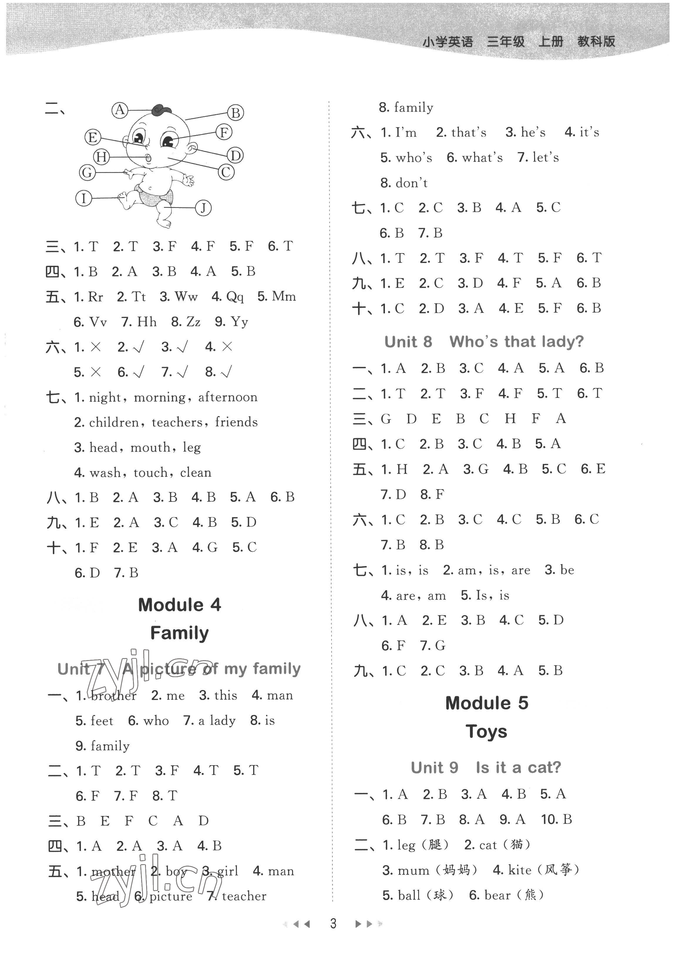 2022年53天天練三年級(jí)英語上冊教科版廣州專版 第3頁