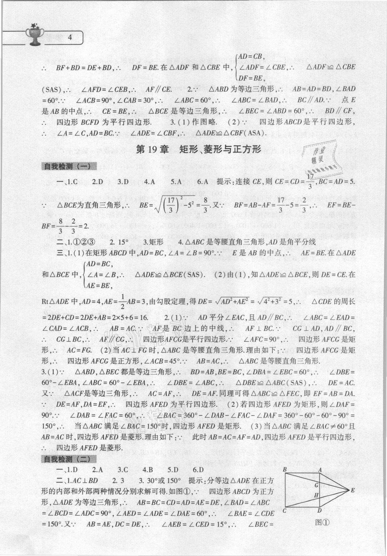 2022年暑假作业本大象出版社八年级数学英语物理地理生物合订本 参考答案第4页