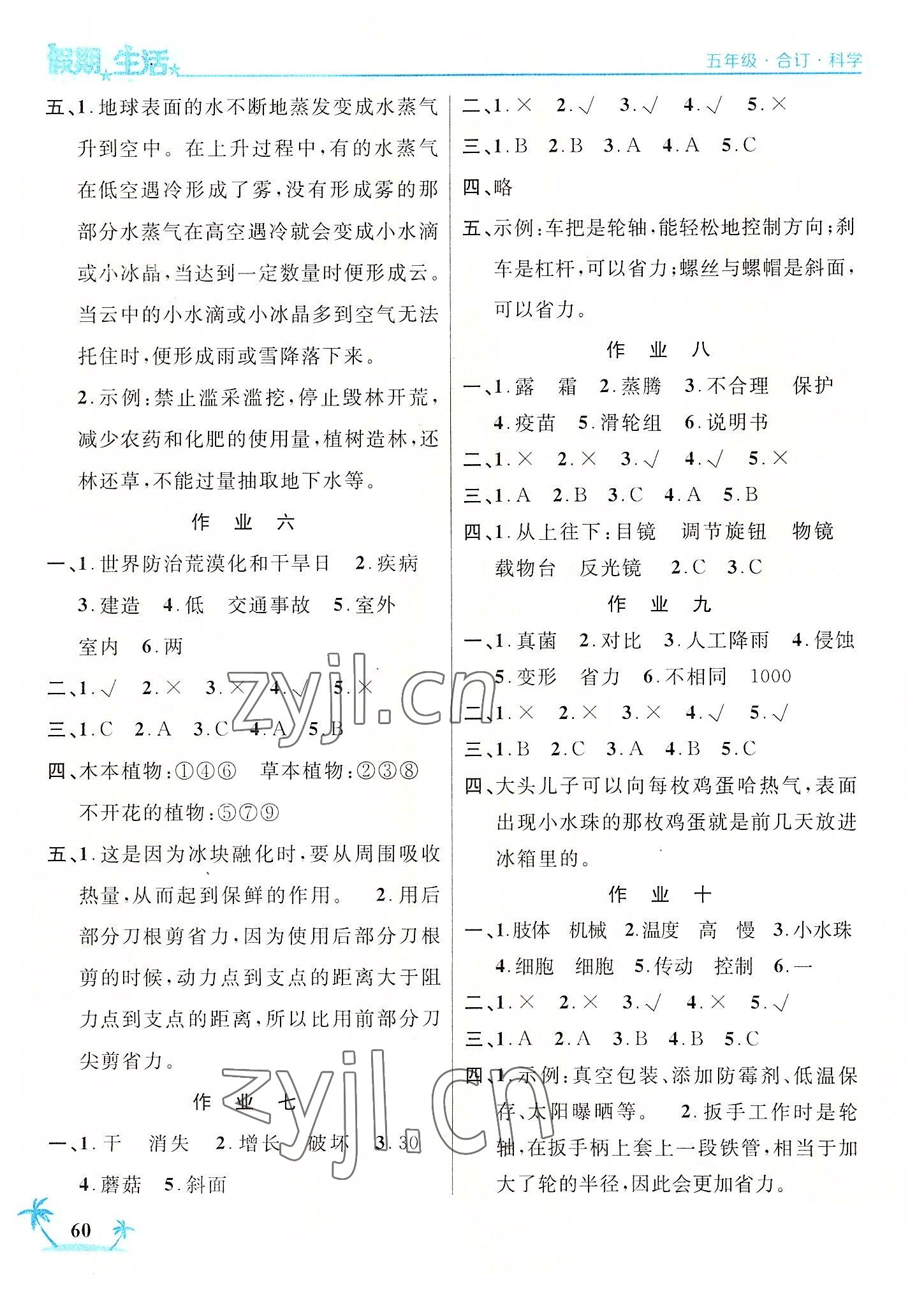 2022年假期生活五年级科学道德与法治合订本方圆电子音像出版社 第2页