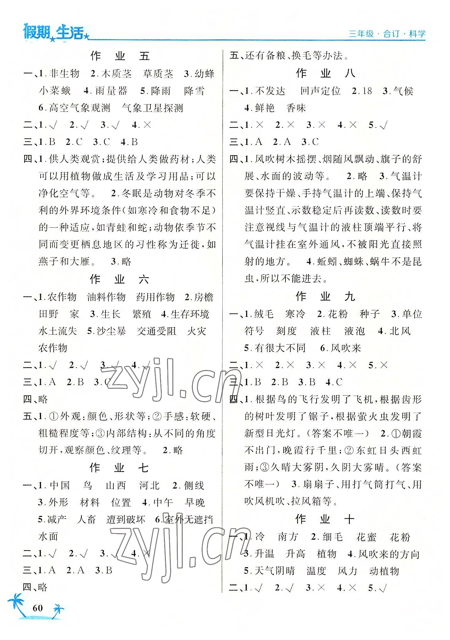 2022年假期生活三年级科学道德与法治合订本方圆电子音像出版社 第2页
