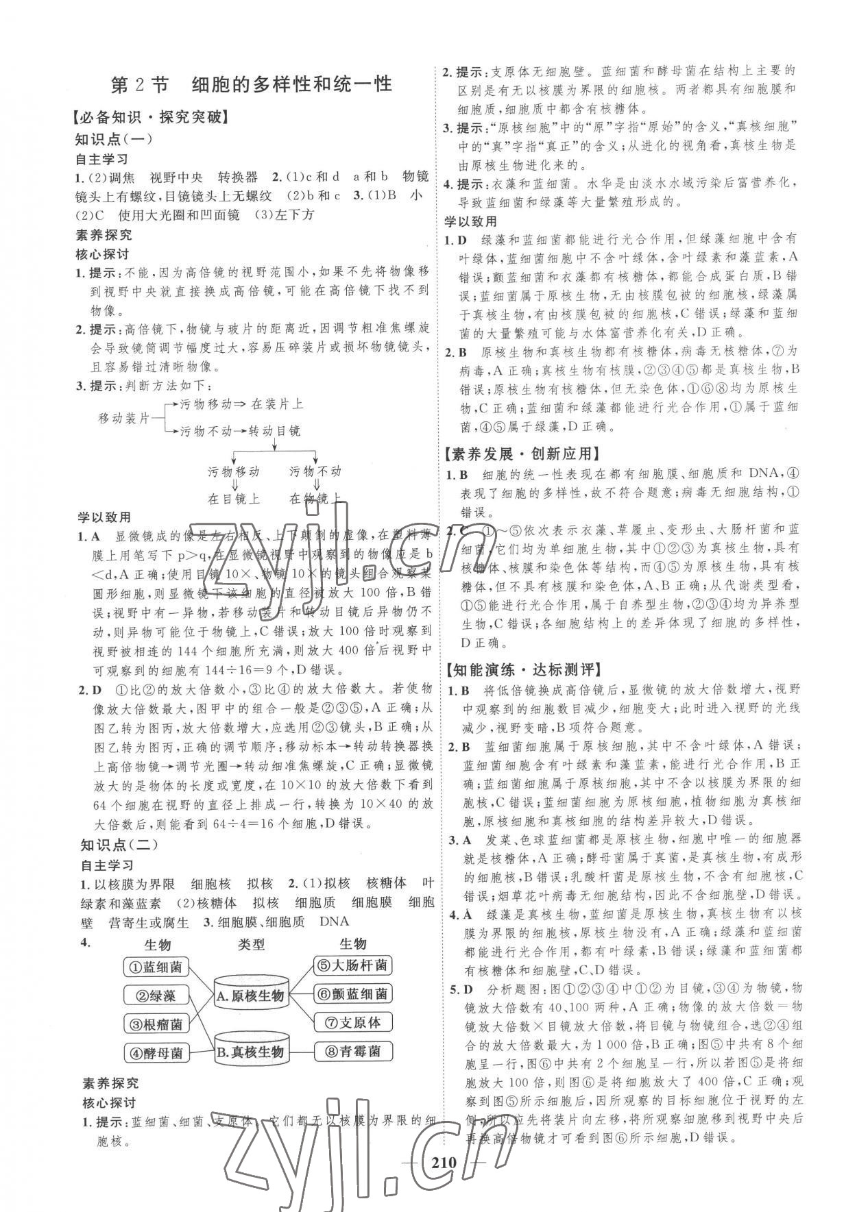 2022年三維設(shè)計(jì)生物學(xué)必修1分子與細(xì)胞 第2頁